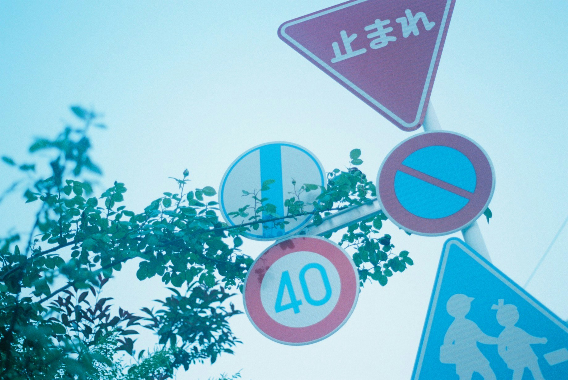 青空の下の交通標識と歩行者・自転車の注意表示