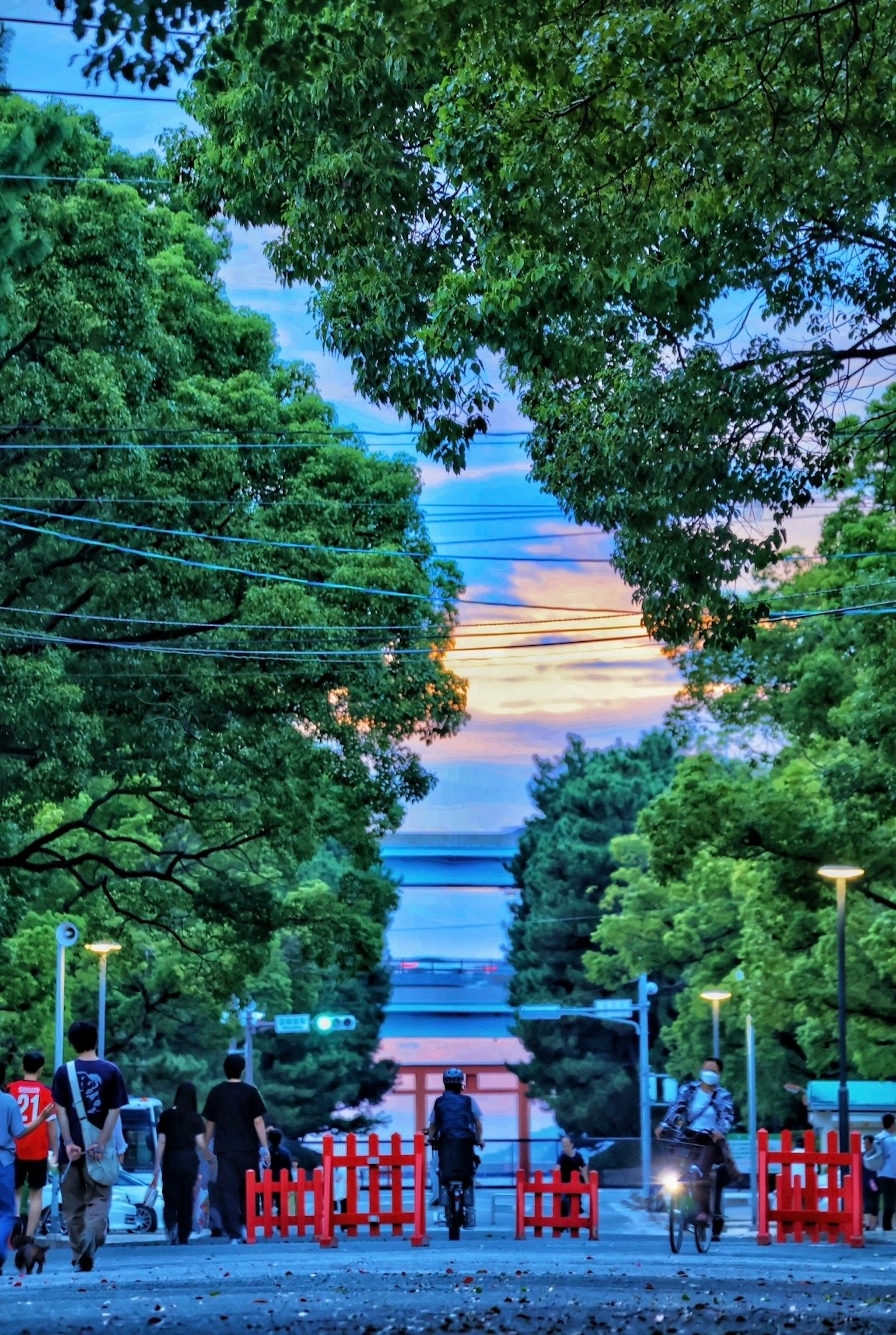緑豊かな木々に囲まれた道の先に夕焼けが見える風景 人々が散歩している様子