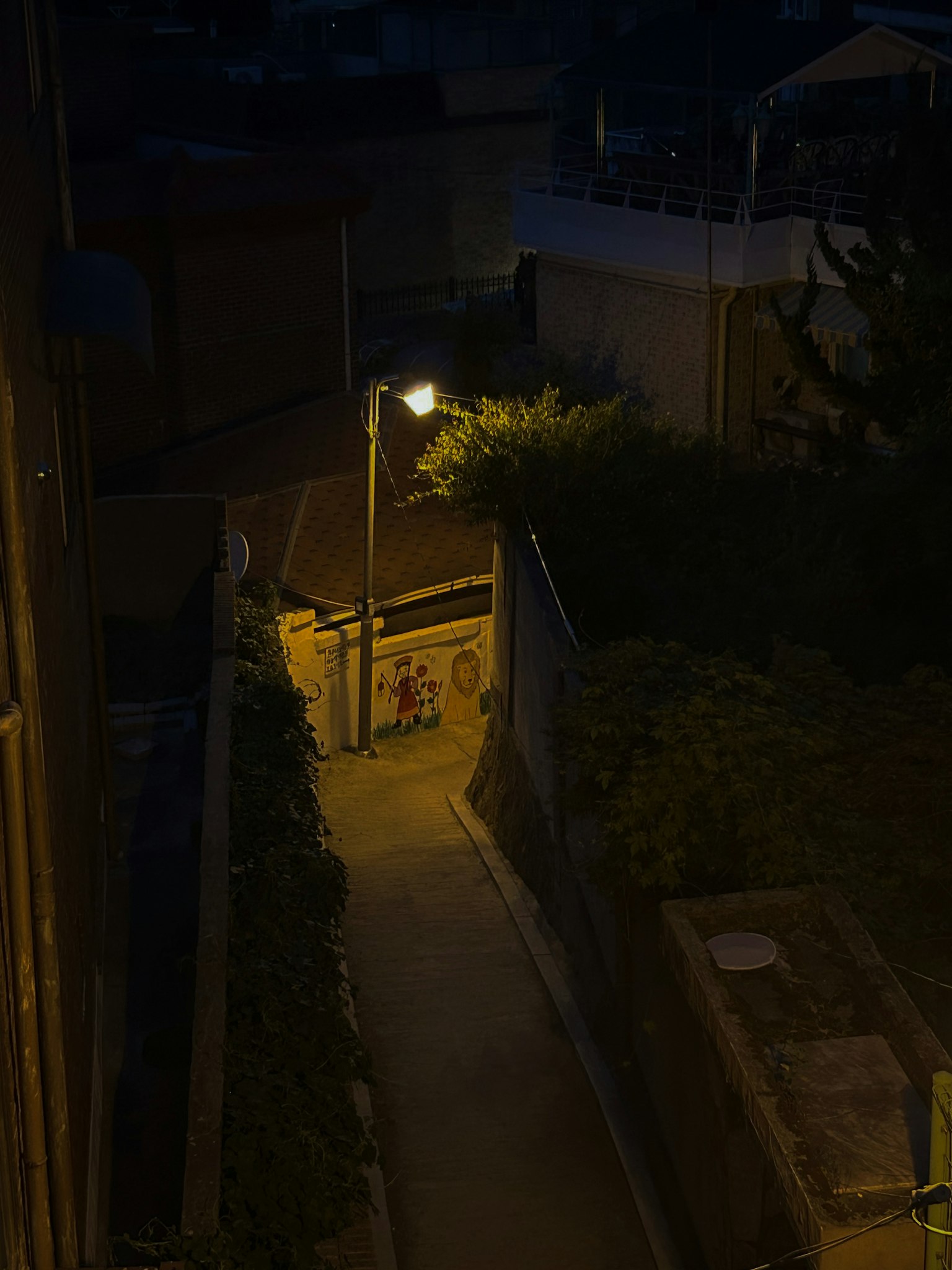 夜の街路灯が照らす狭い小道と周囲の緑