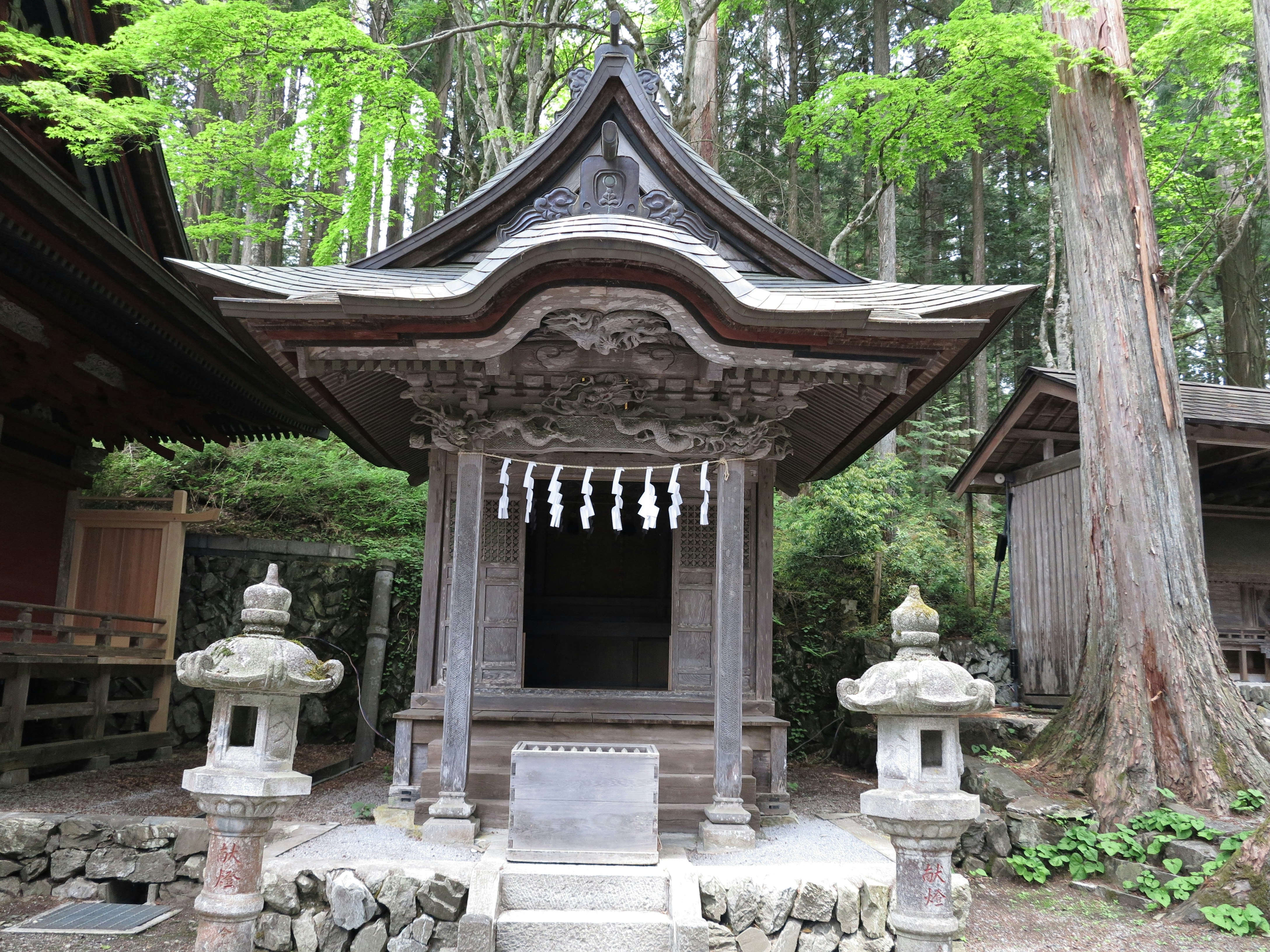 長滿青苔的森林中石製手水舍與小型神社
