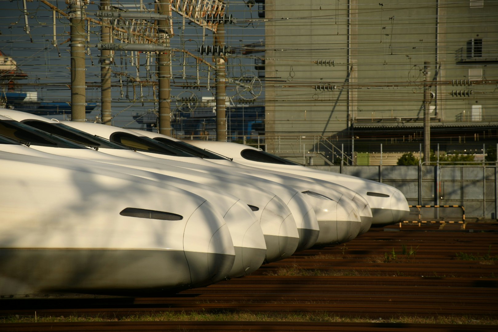 esterno di un treno ad alta velocità in corsa su binari sopraelevati