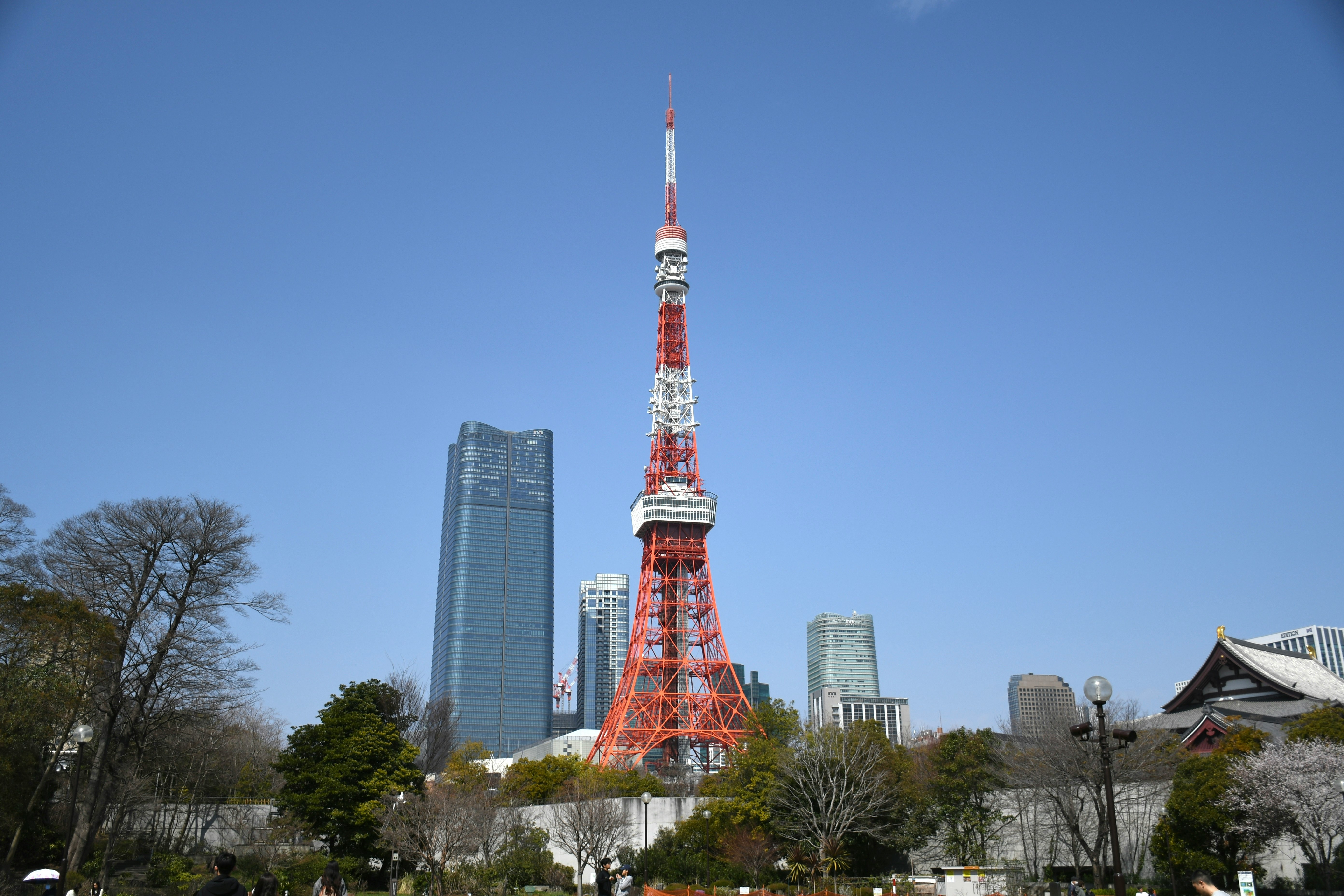 東京塔與晴空塔同框的城市景觀