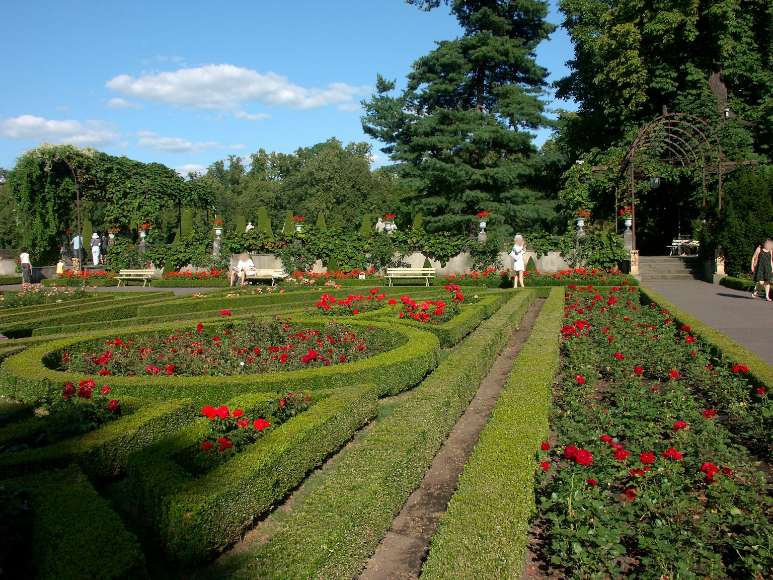 Scène de jardin magnifique avec des parterres de fleurs rouges et des haies vertes