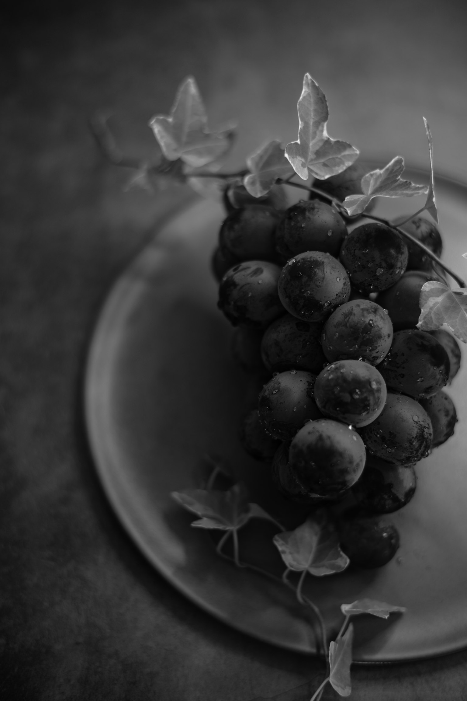 黒白の皿に盛られたぶどうと葉の静物