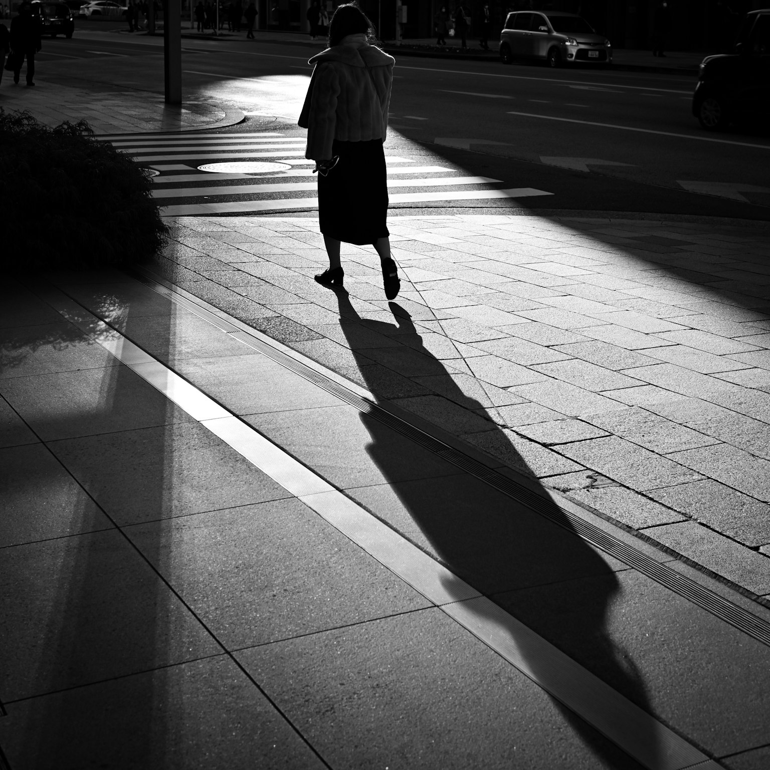 เงาของคนที่เดินอยู่บนถนนพร้อมเงาที่ยาวในขาวดำ
