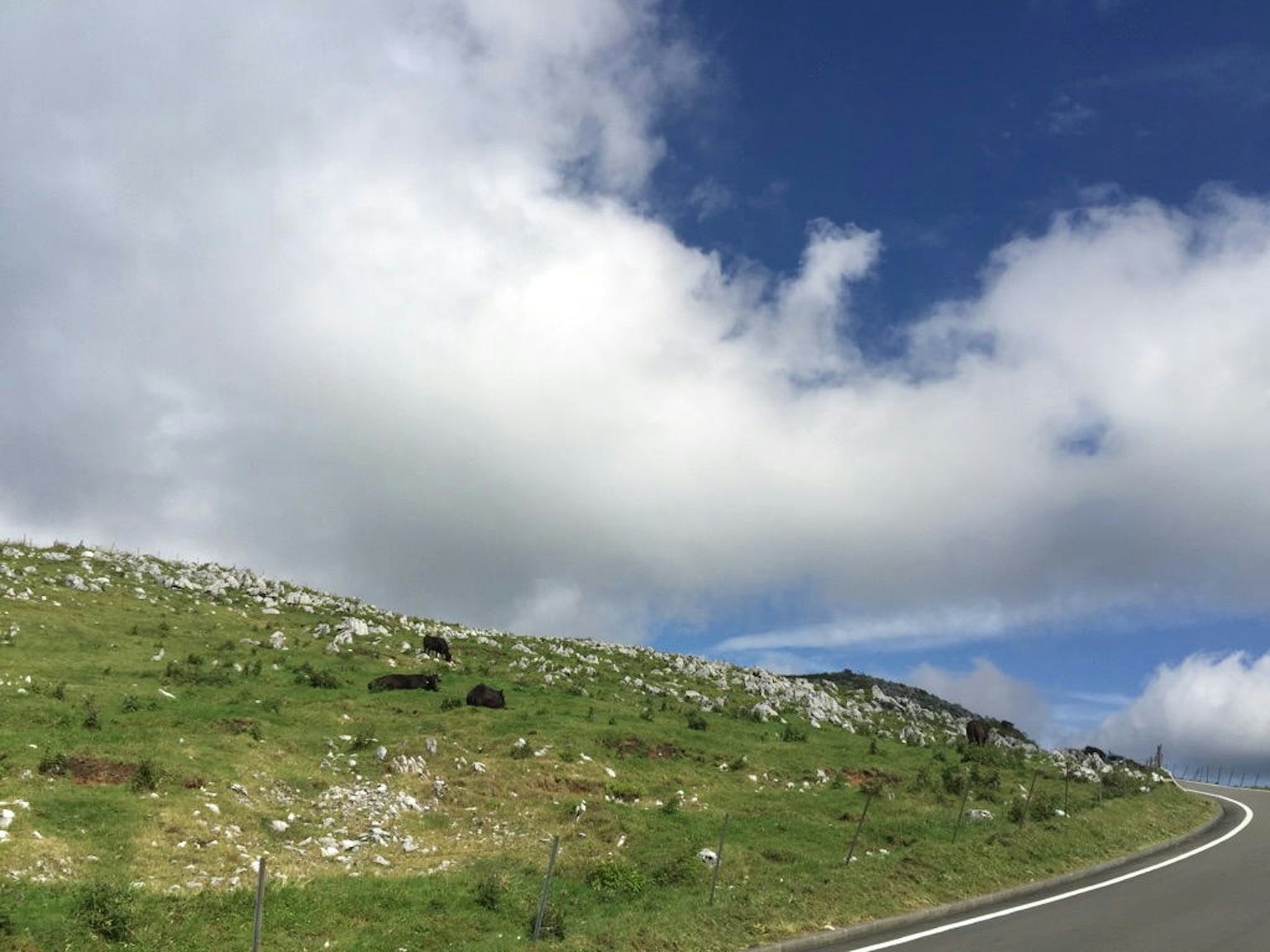 Grüne Hügel mit verstreuten Steinen unter einem blauen Himmel und Wolken mit einer kurvenreichen Straße