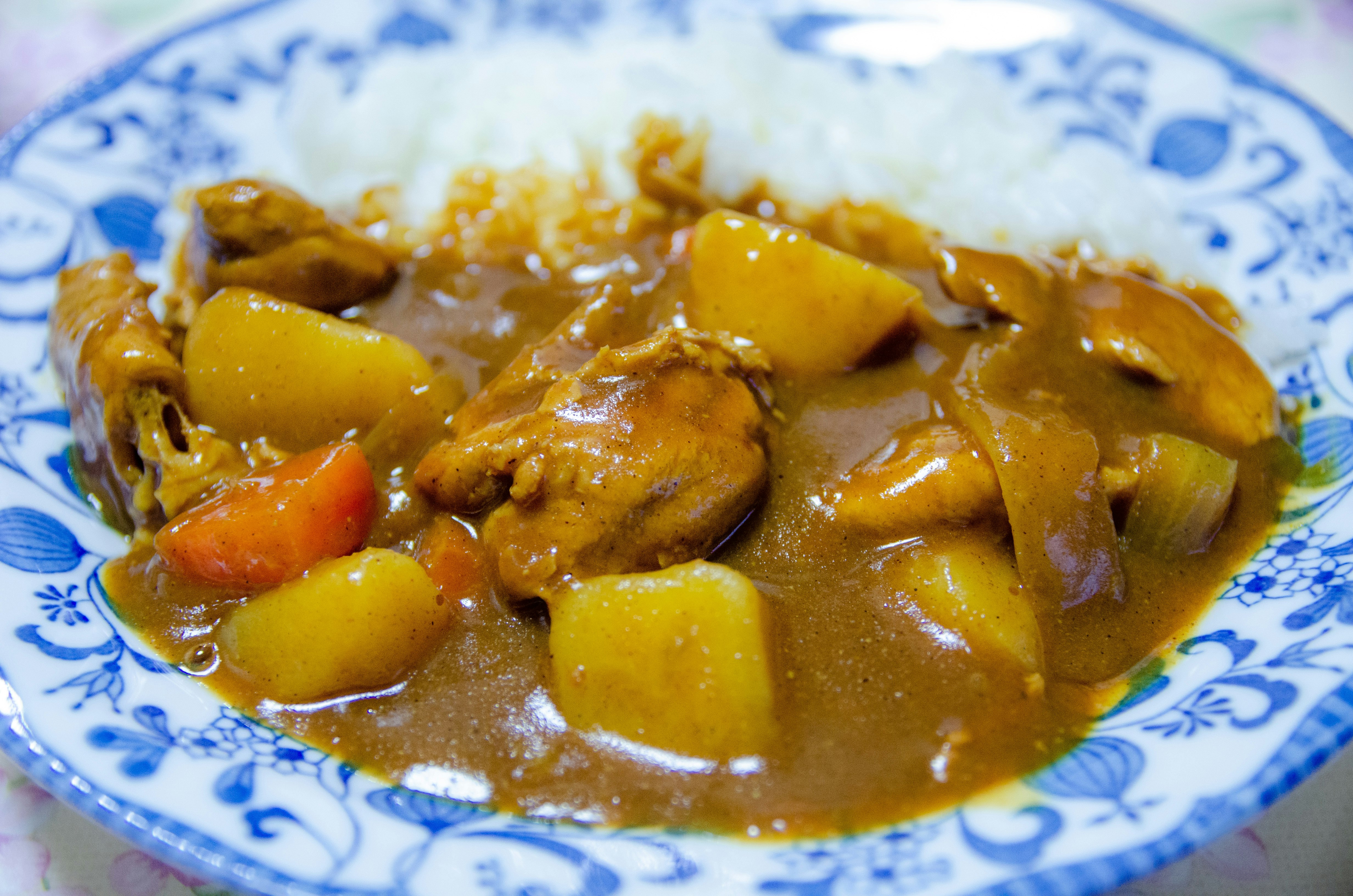 皿に盛られたカレーシチュー