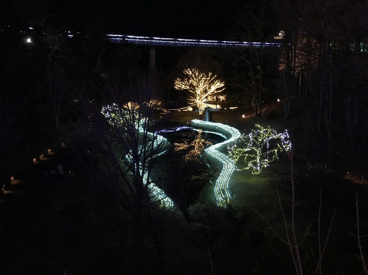 Pemandangan taman malam yang indah dengan pohon-pohon yang diterangi dan aliran yang berkelok