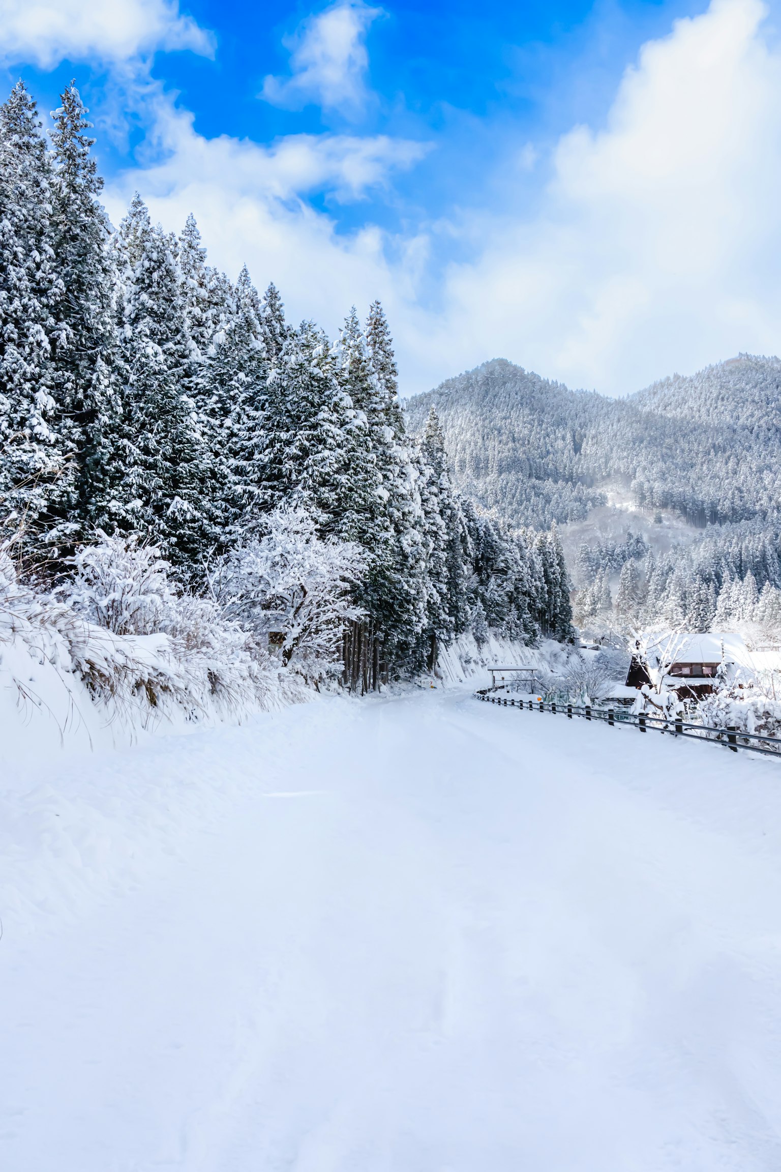 Camino cubierto de nieve con árboles y montañas bajo un cielo azul