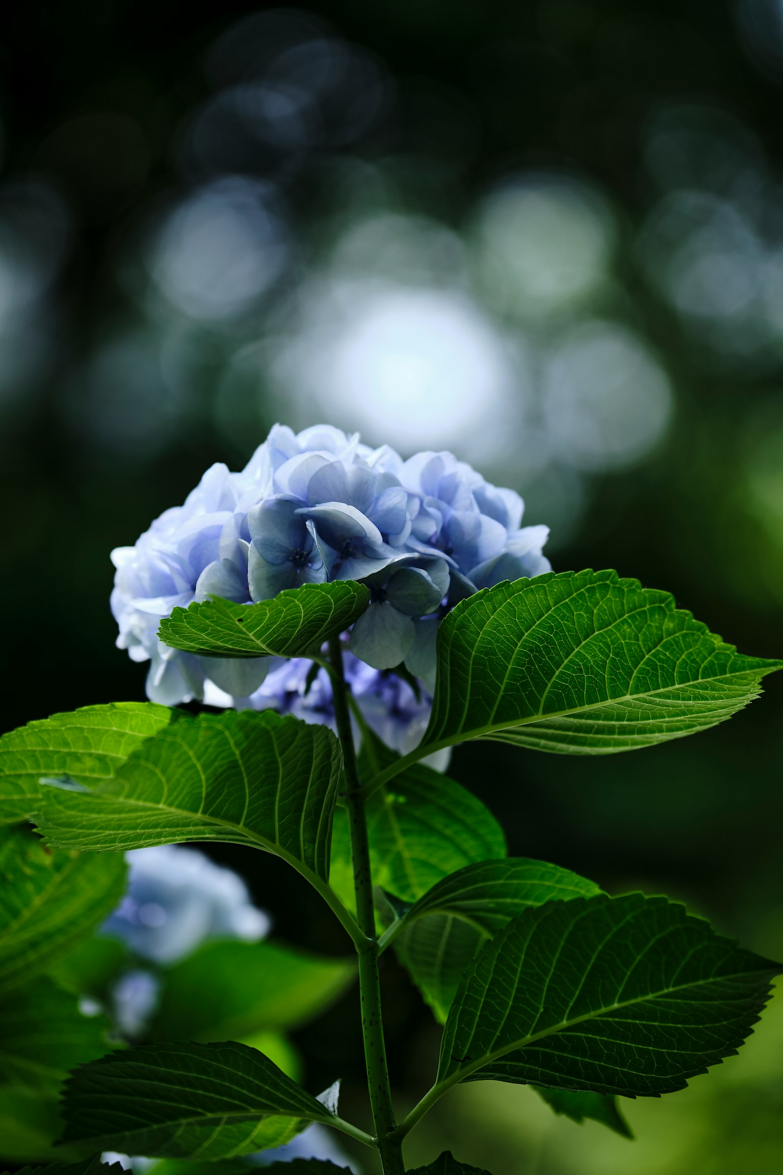 photo-bPApfxqV8kqoQpW8YT2X-image