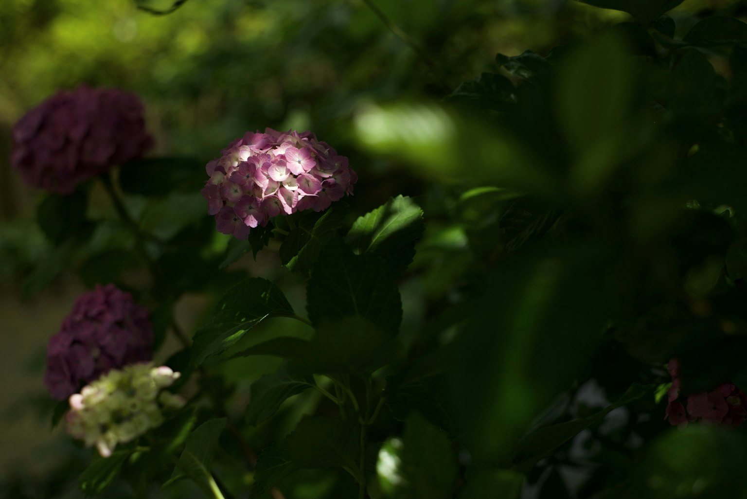 photo-bQ0RfRhvVi7PQo3sbvLd-image