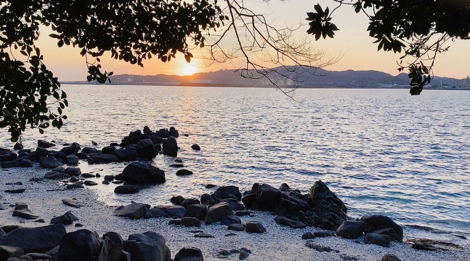 水面日落的风景 岩石海岸与植物轮廓