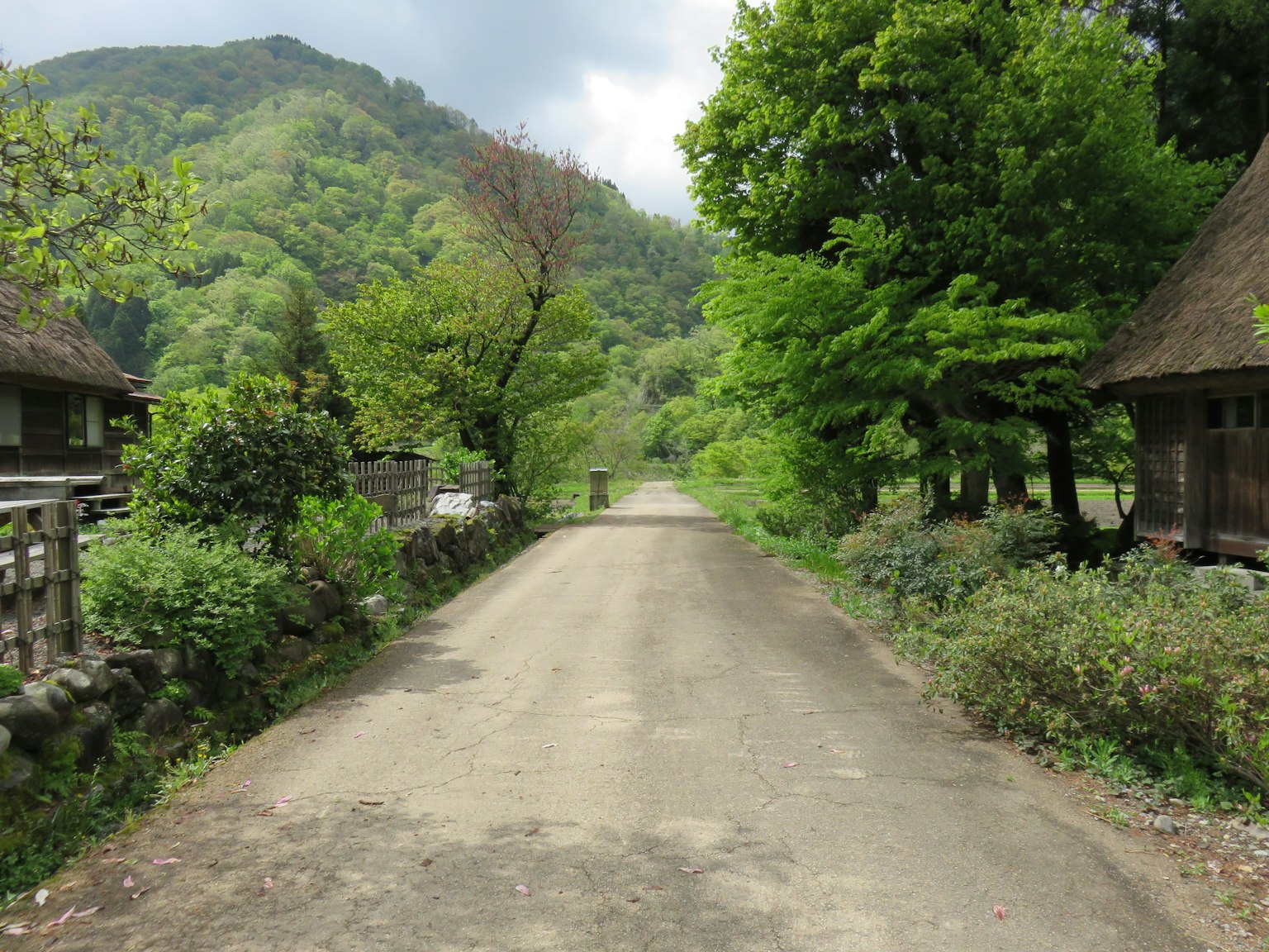 風景如畫的土路兩旁有綠樹和傳統房屋