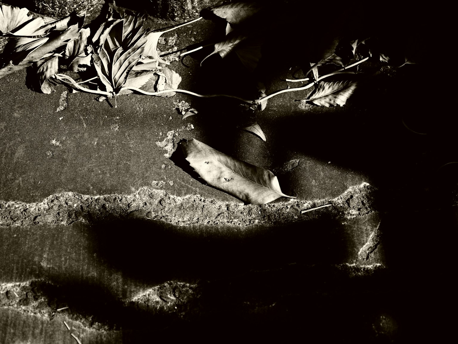 photo-bR2q9p6HNT42wHmDygFP-image