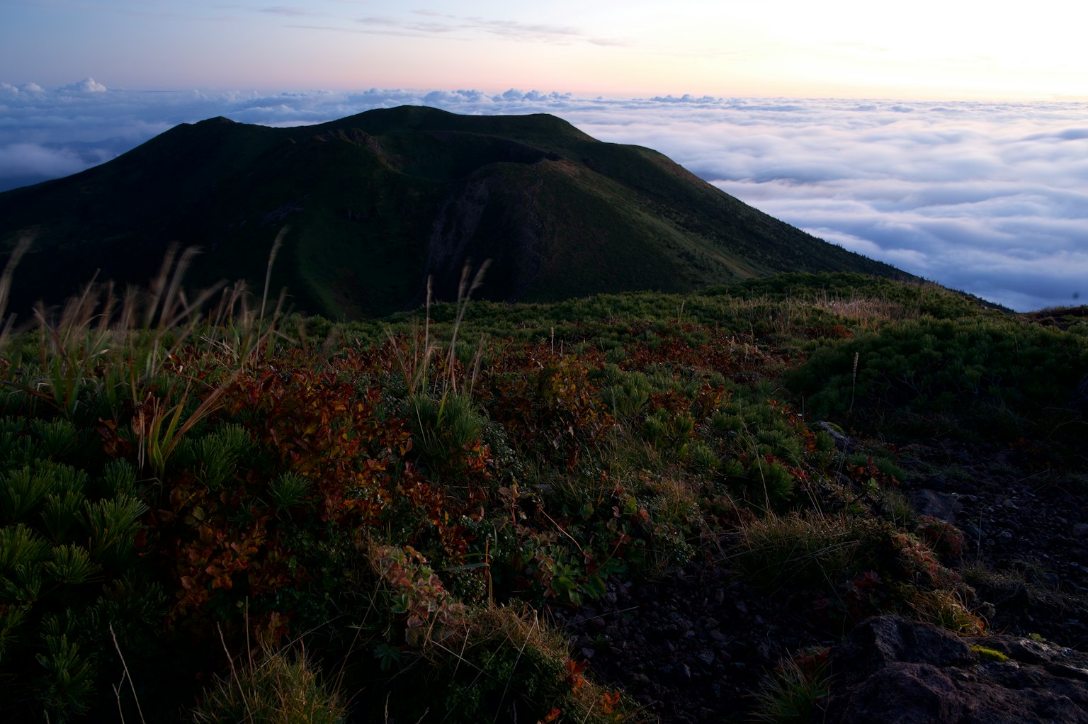 Pemandangan pegunungan dengan lautan awan di latar belakang menampilkan tekstur rumput dan batu