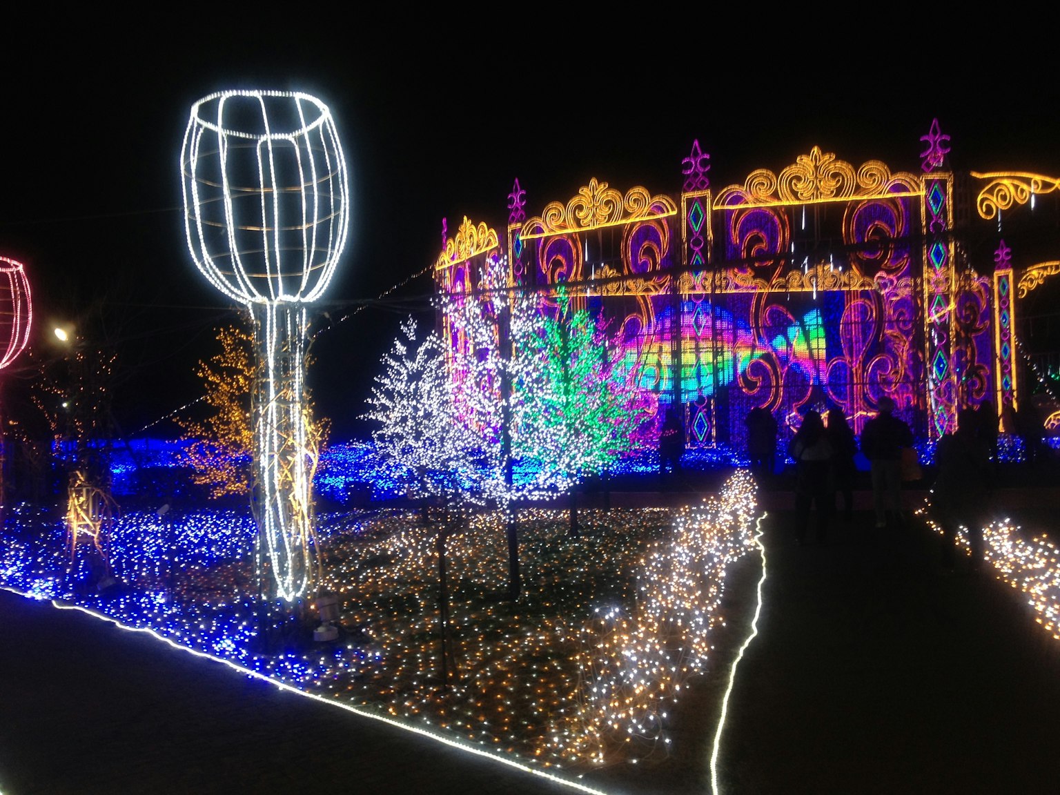 Scena di un parco illuminato colorato di notte con luci vivaci su alberi e edifici