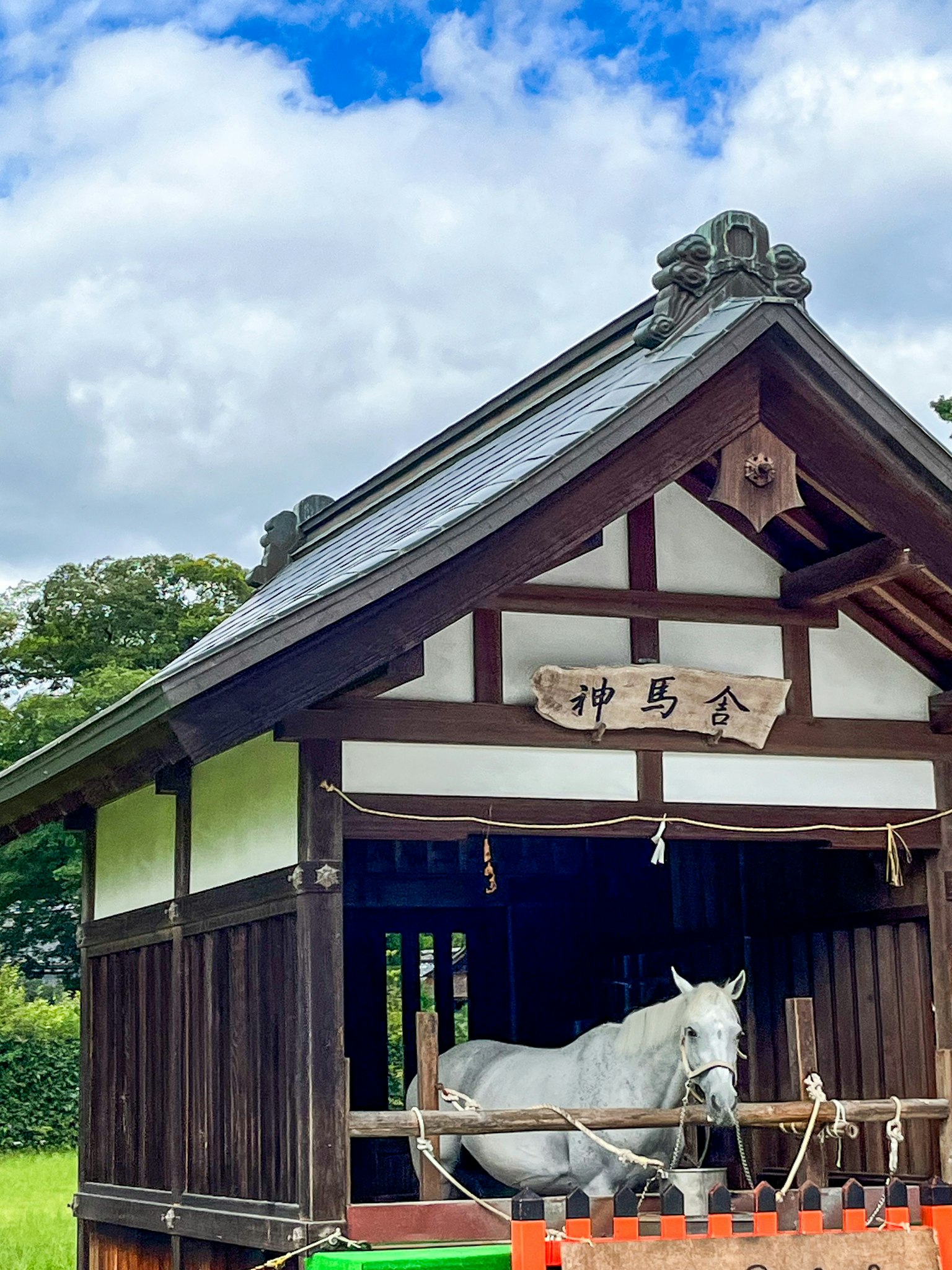 一匹白馬在傳統日本馬廄裡