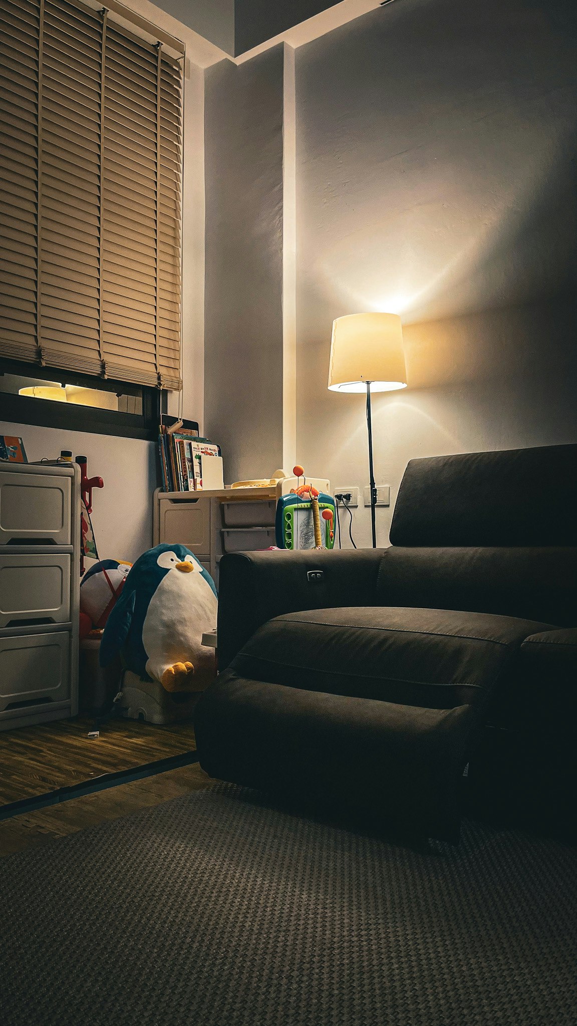 cozy indoor living room with a dog on the floor near a sofa