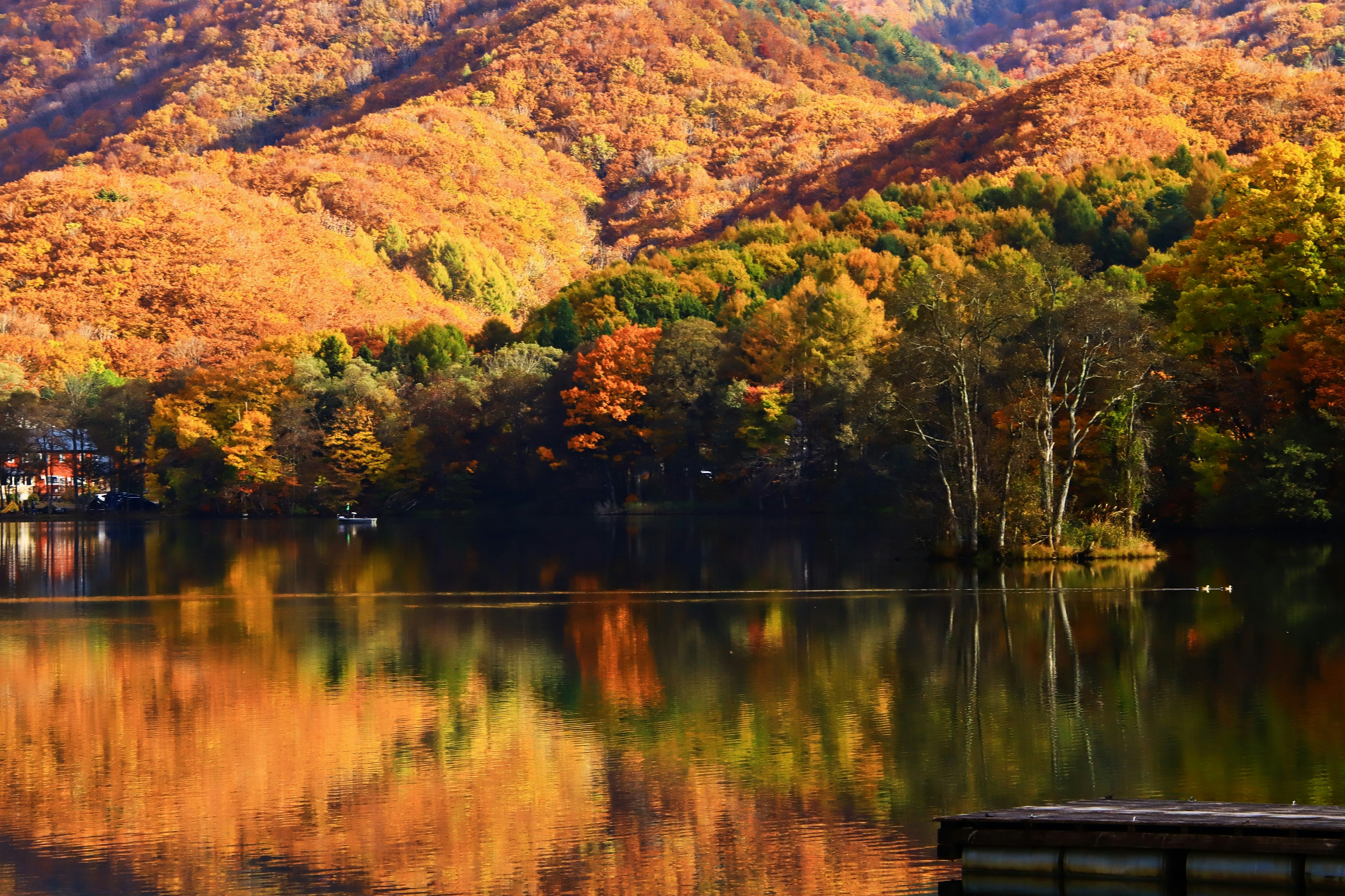Montagne autunnali e alberi riflessi su un lago calmo immagine