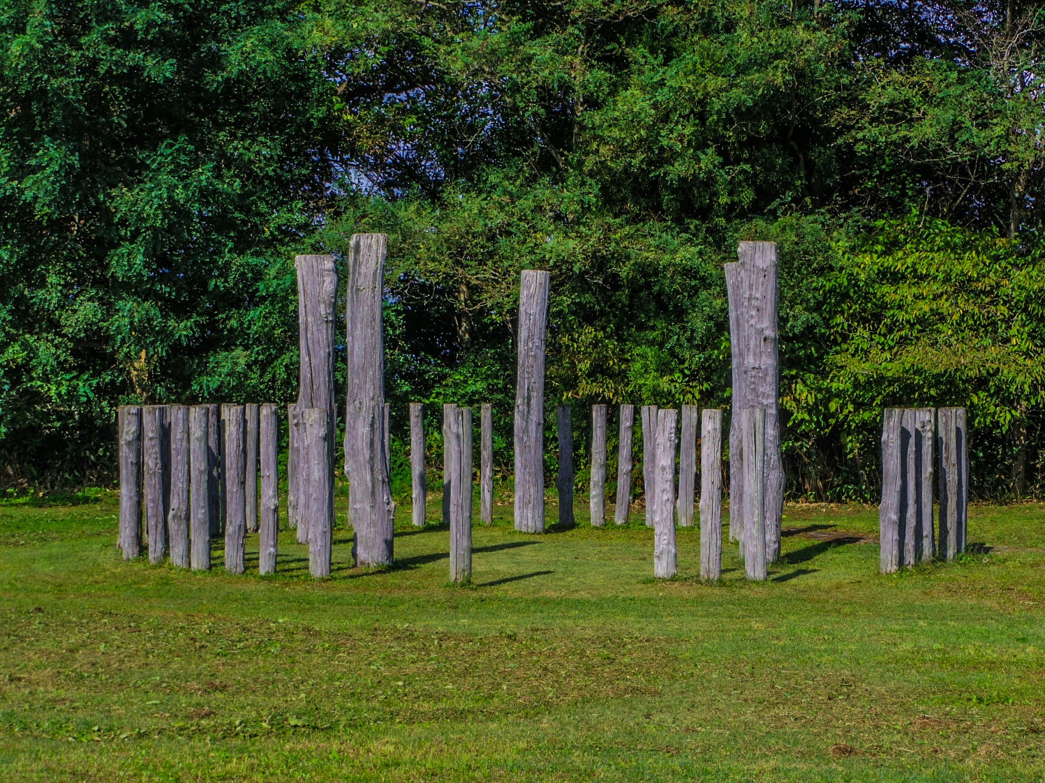 wooden posts arranged on a grassy lawn