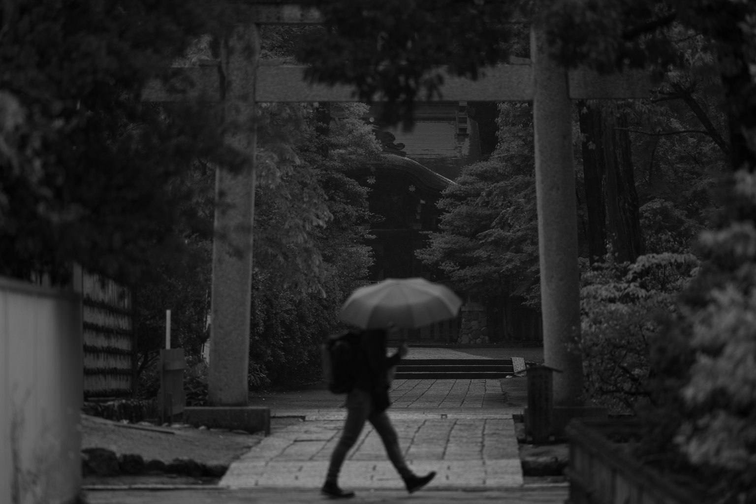 Eine Person, die mit einem Regenschirm in einer ruhigen Landschaft geht