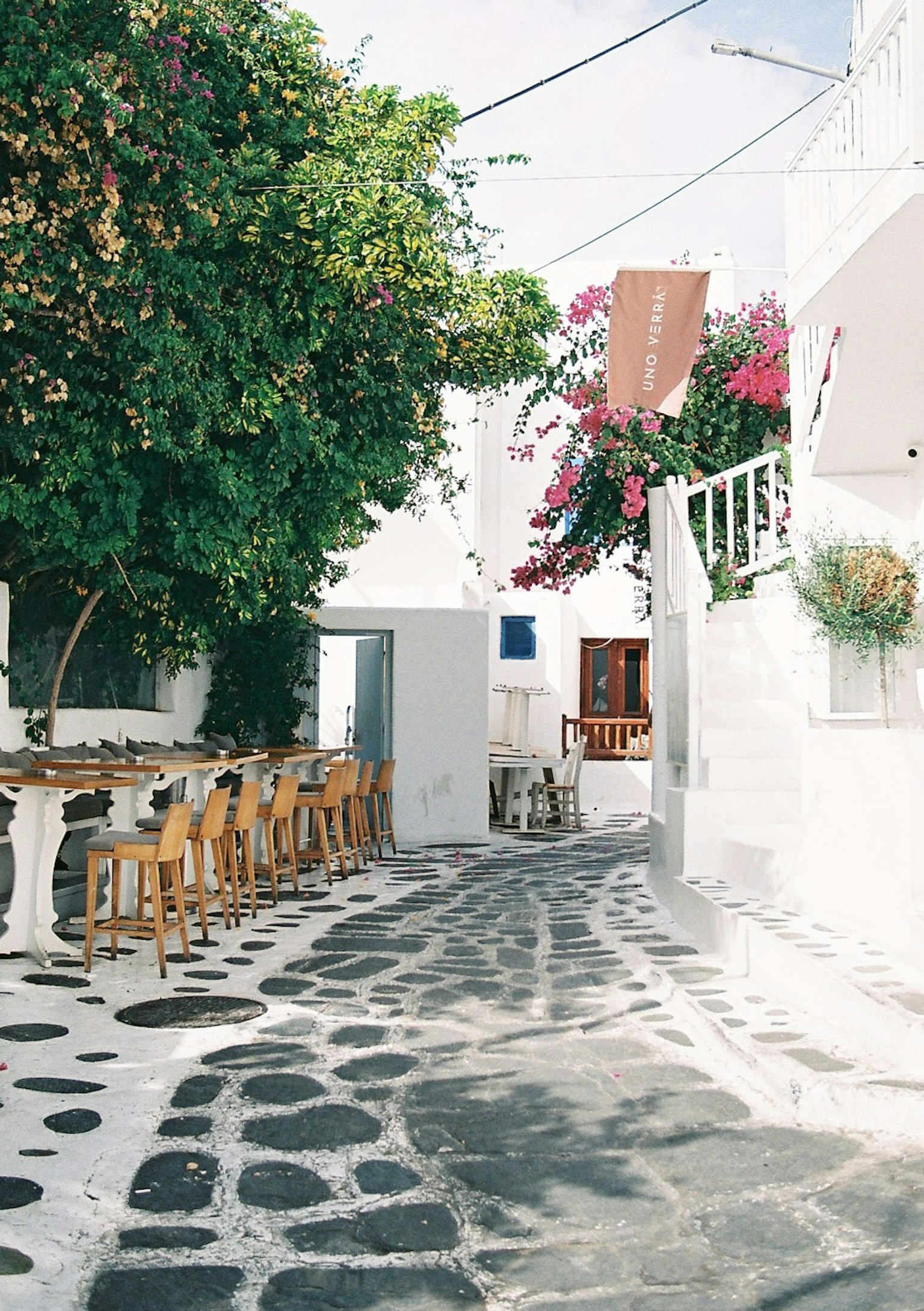 Une rue grecque charmante avec des murs blancs et un chemin en pavés Végétation luxuriante et sièges de café en plein air