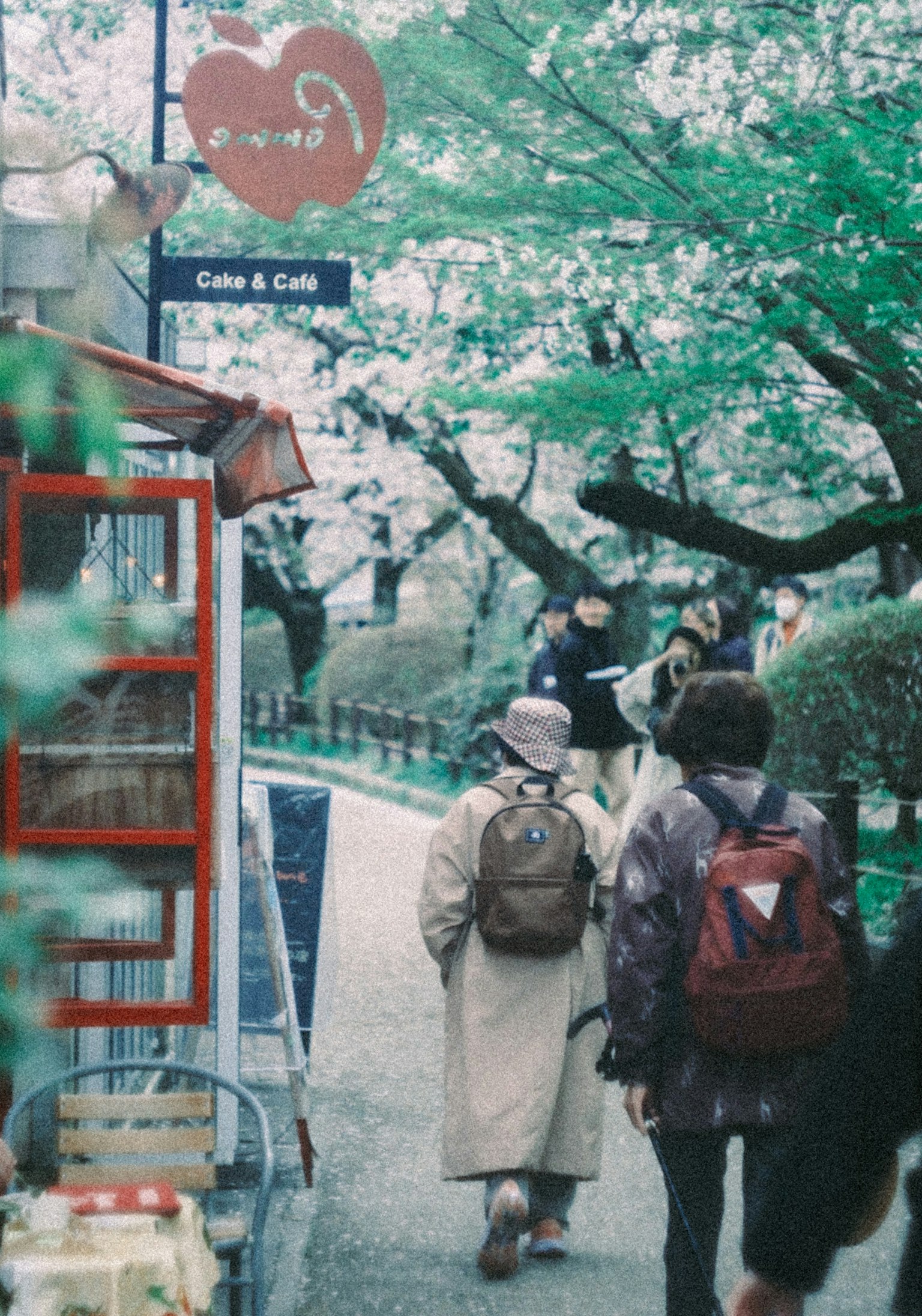 Personas caminando bajo cerezos en flor con un letrero de café visible
