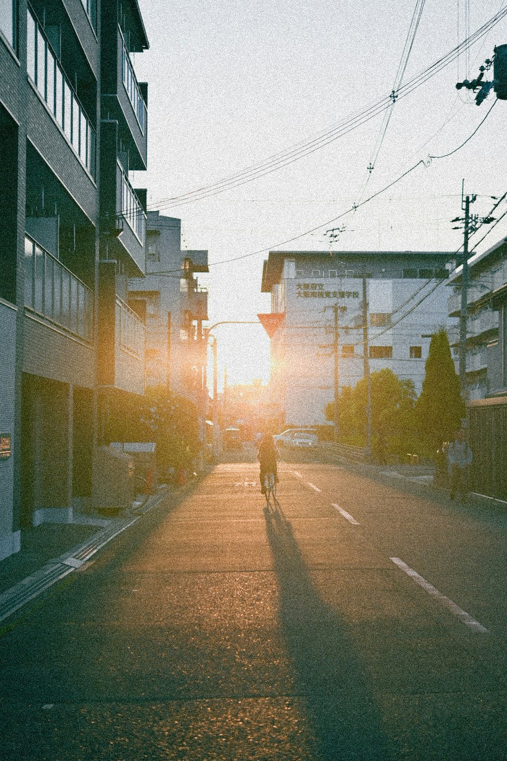 photo-bVQxbGFFv42a53RGiCvW-image