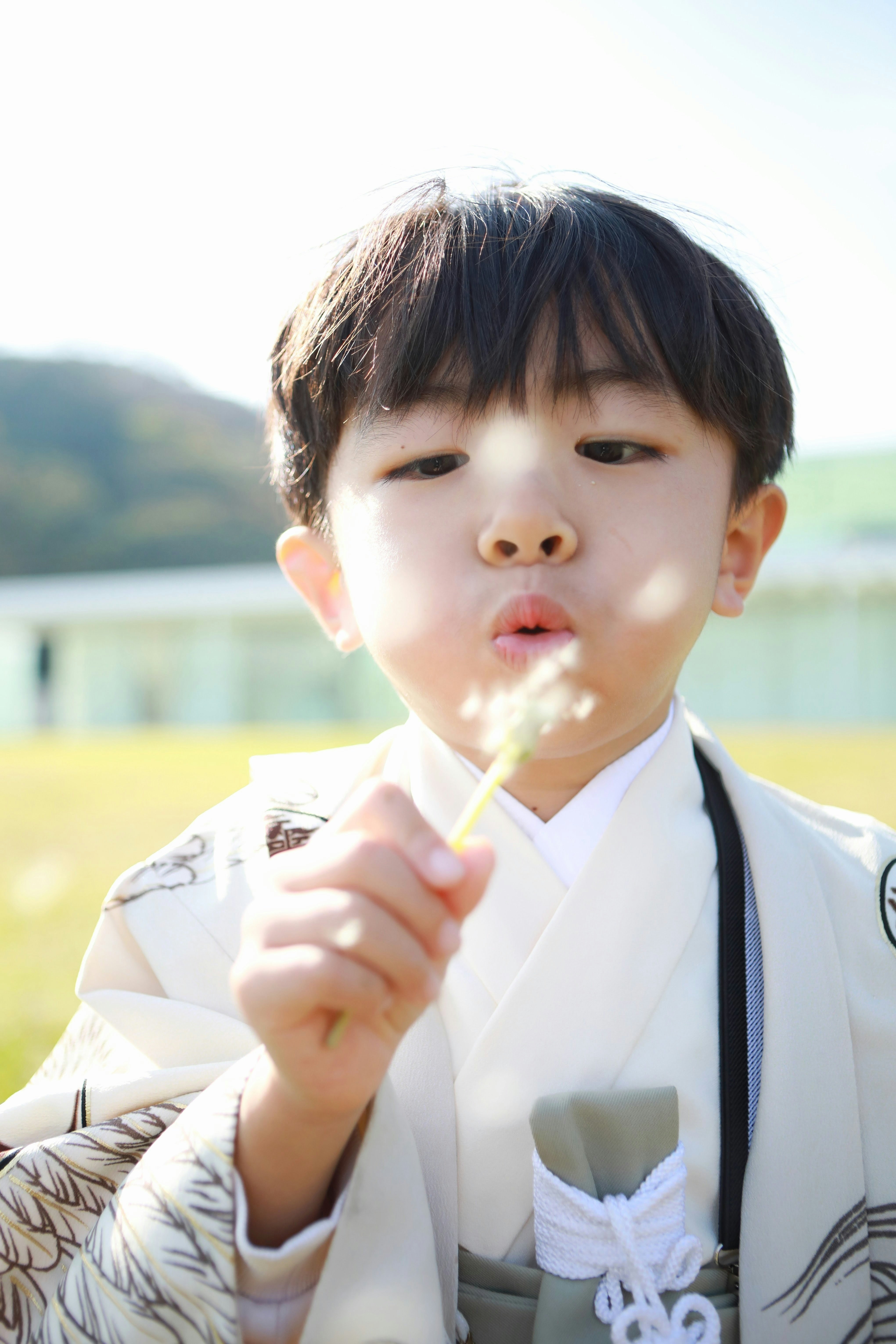 七五三の着物姿の息子が綿菓子をほおばる公園の一瞬