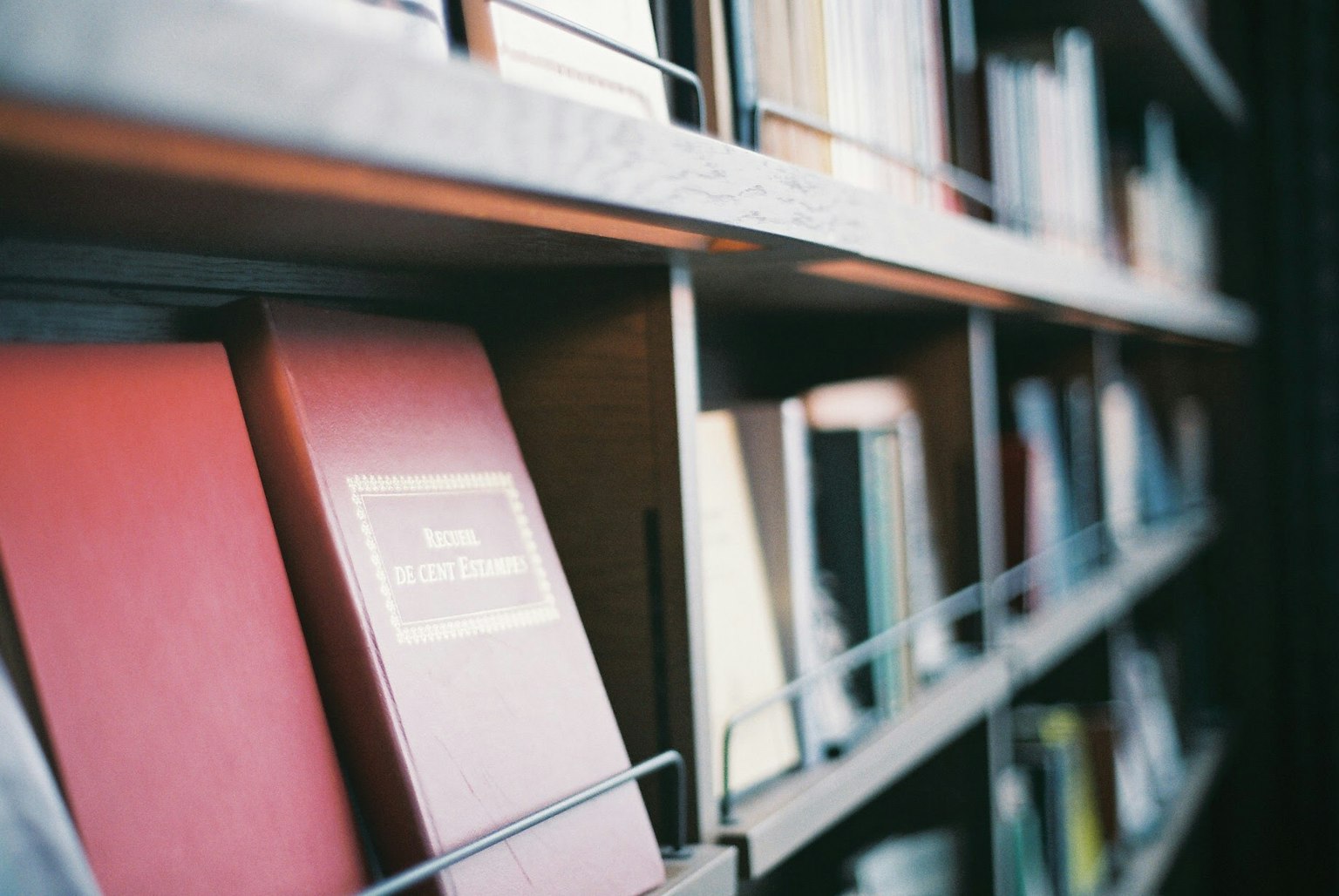 Shelves filled with a collection of books including red volumes
