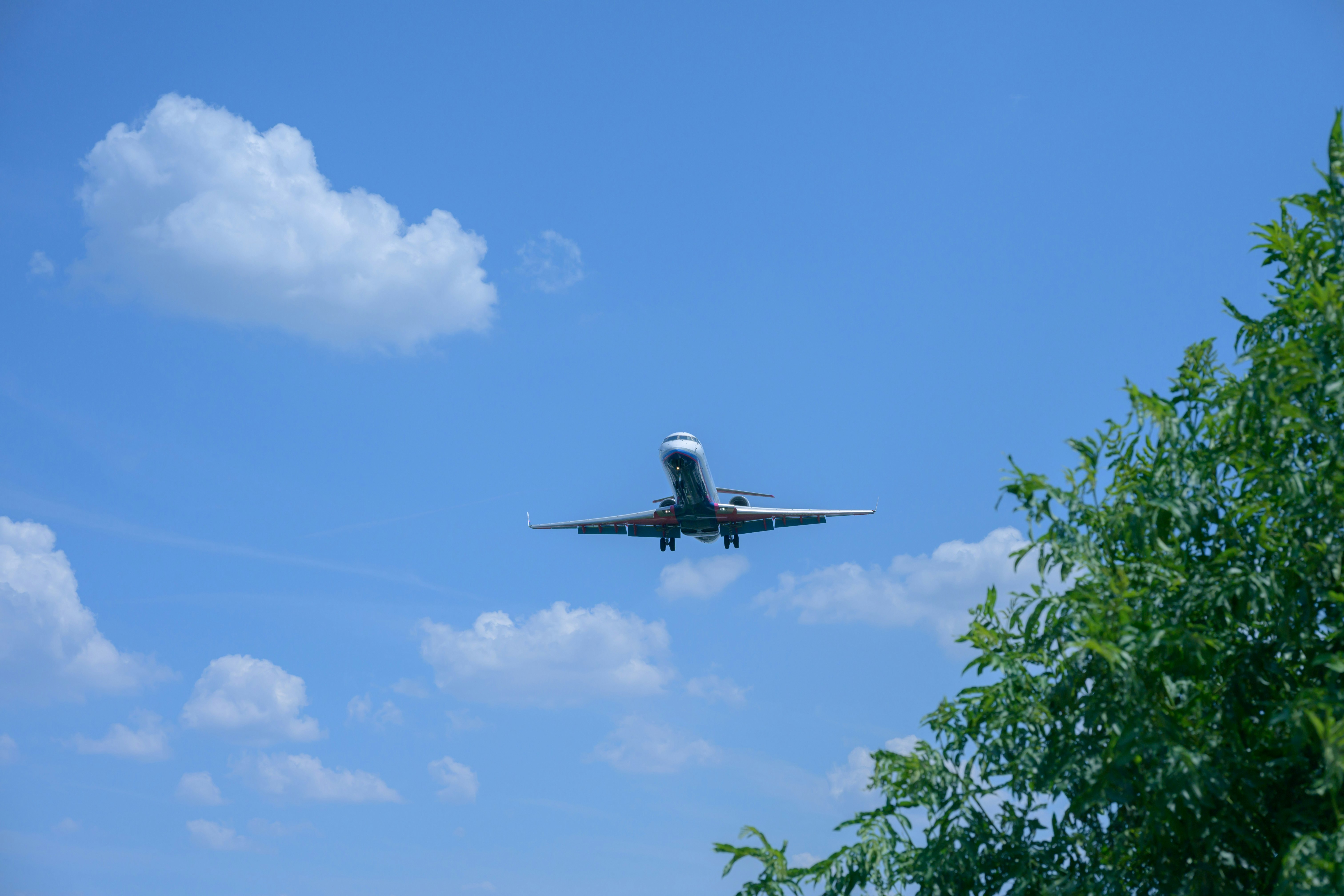 青空を飛ぶ旅客機と木々の緑