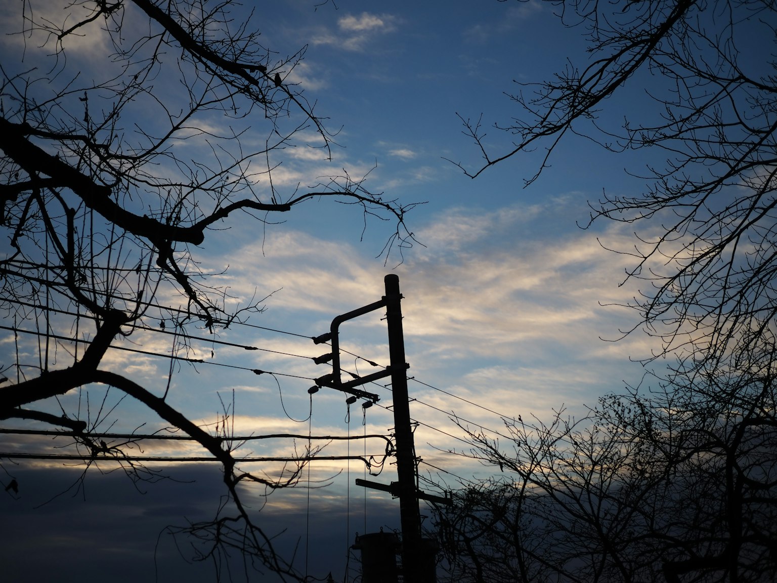Silhouette d'un poteau électrique et de branches d'arbres contre un ciel crépusculaire