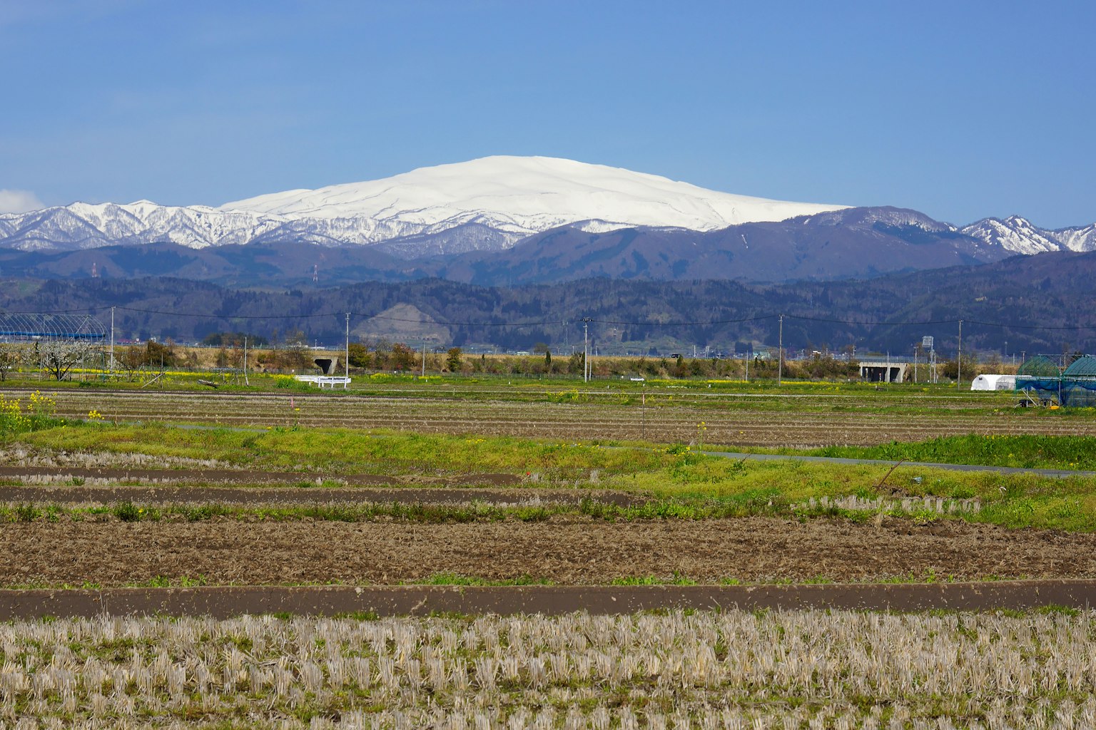 雪山和廣闊稻田的風景
