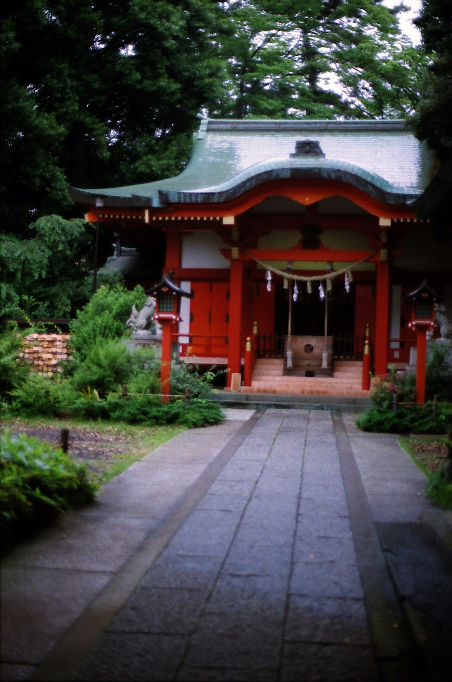 被綠樹環繞的紅色神社入口和石頭小路