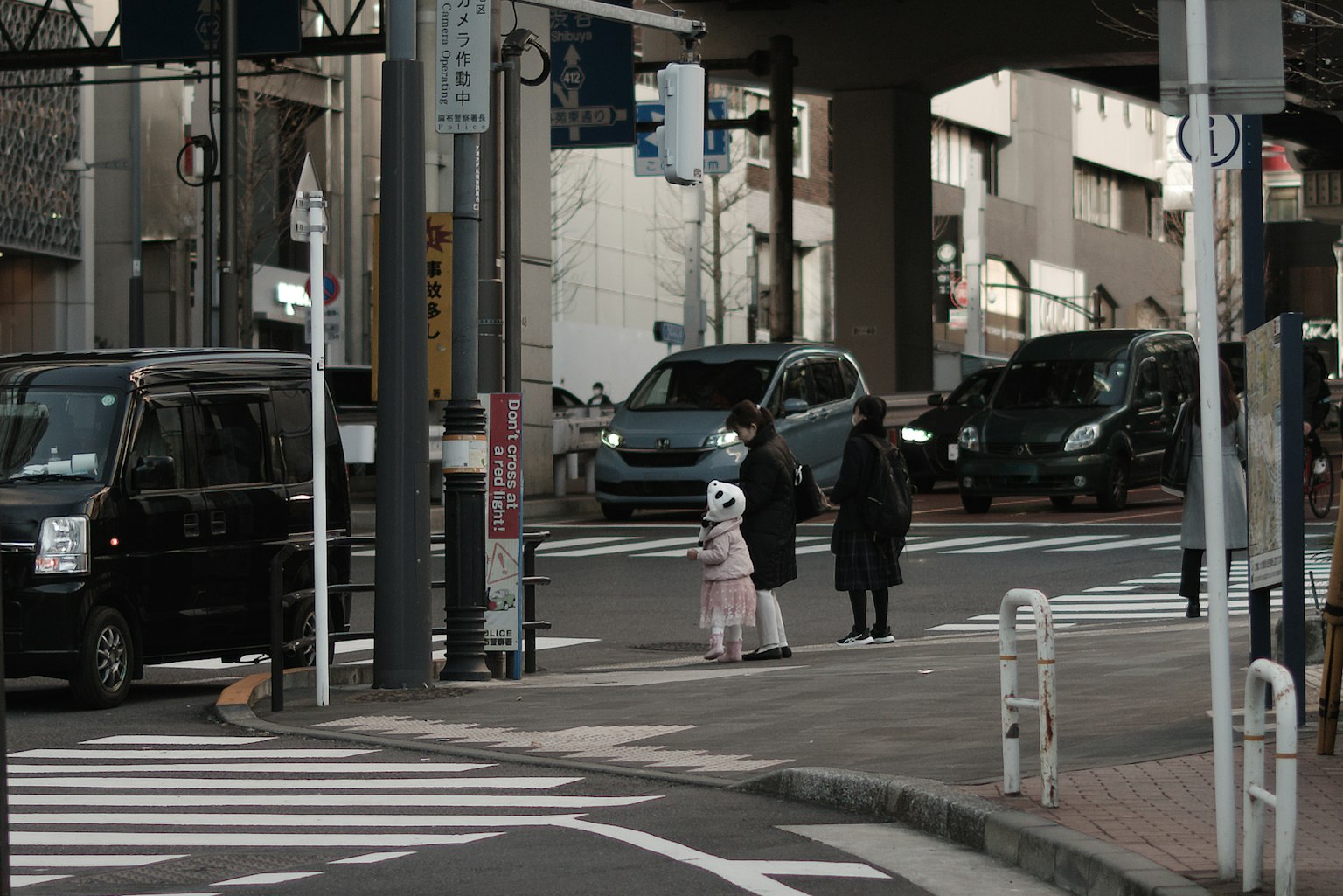 Two people and a dog standing at a crosswalk with cars in a city setting