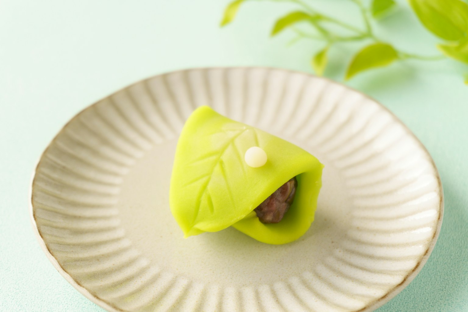 Confección japonesa verde en forma de hoja sobre un plato