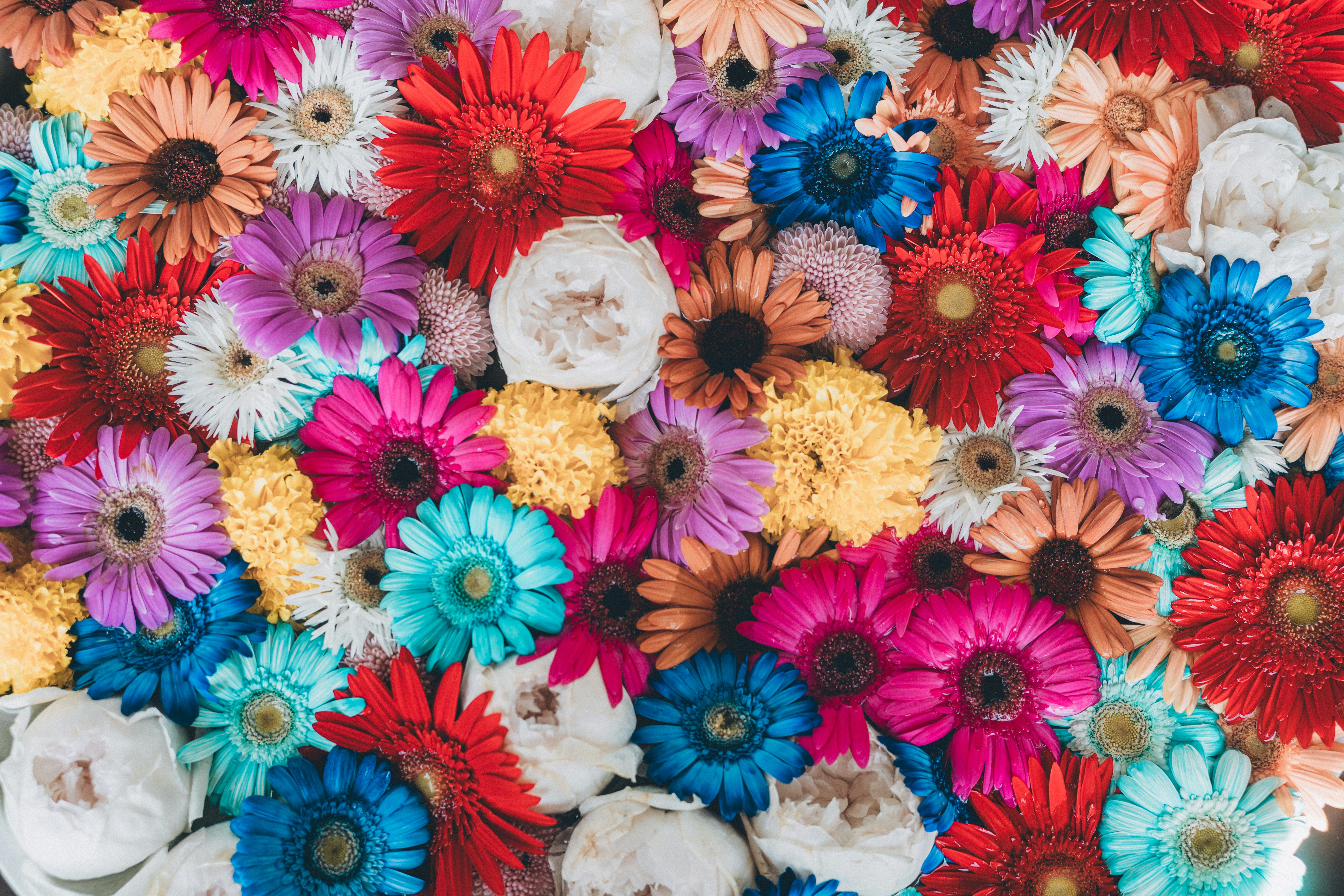 arrière-plan façon bouquet rempli de fleurs aux couleurs vives