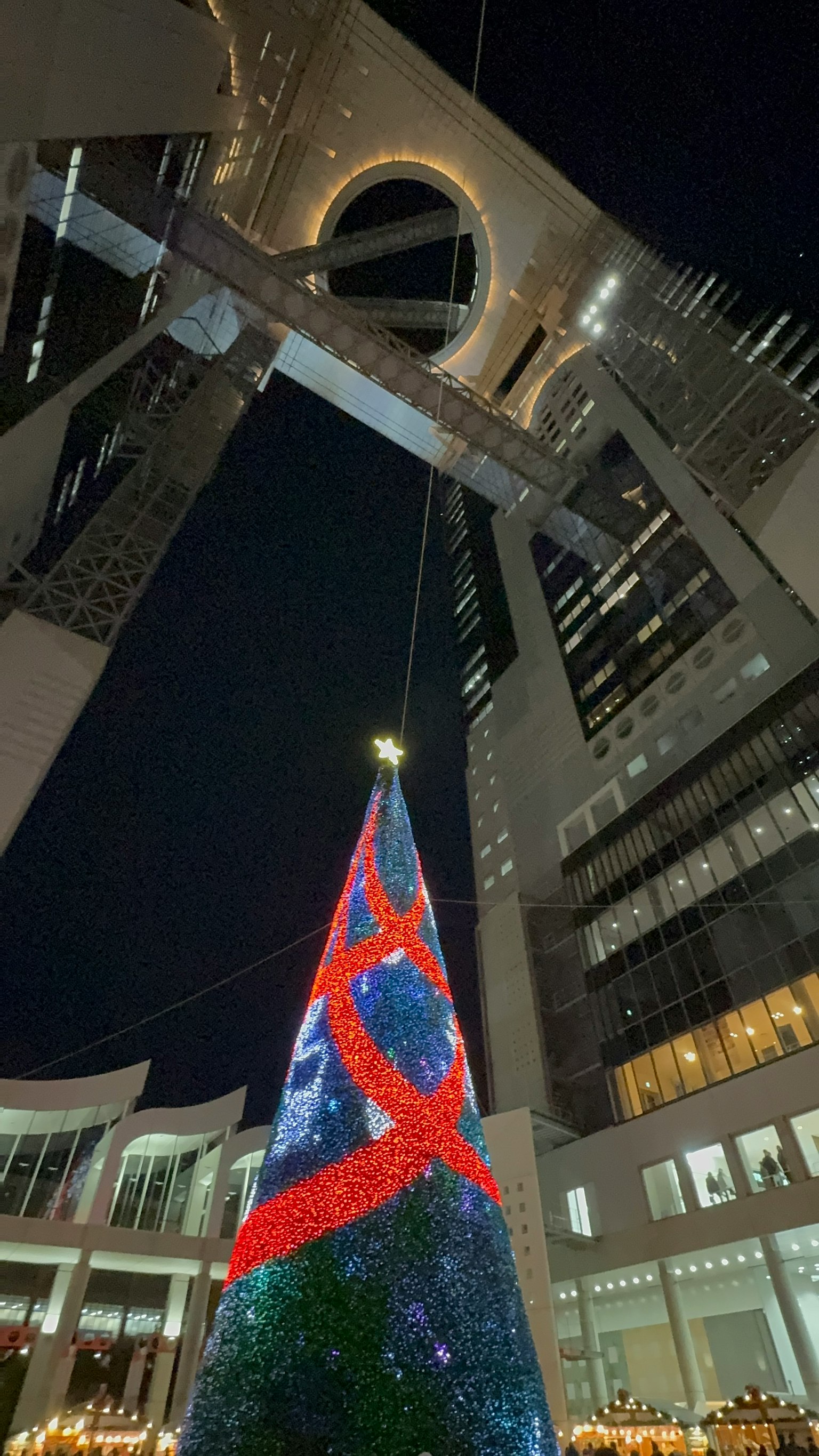 Beleuchteter Weihnachtsbaum im Stadtzentrum bei Nacht mit Hochhäusern
