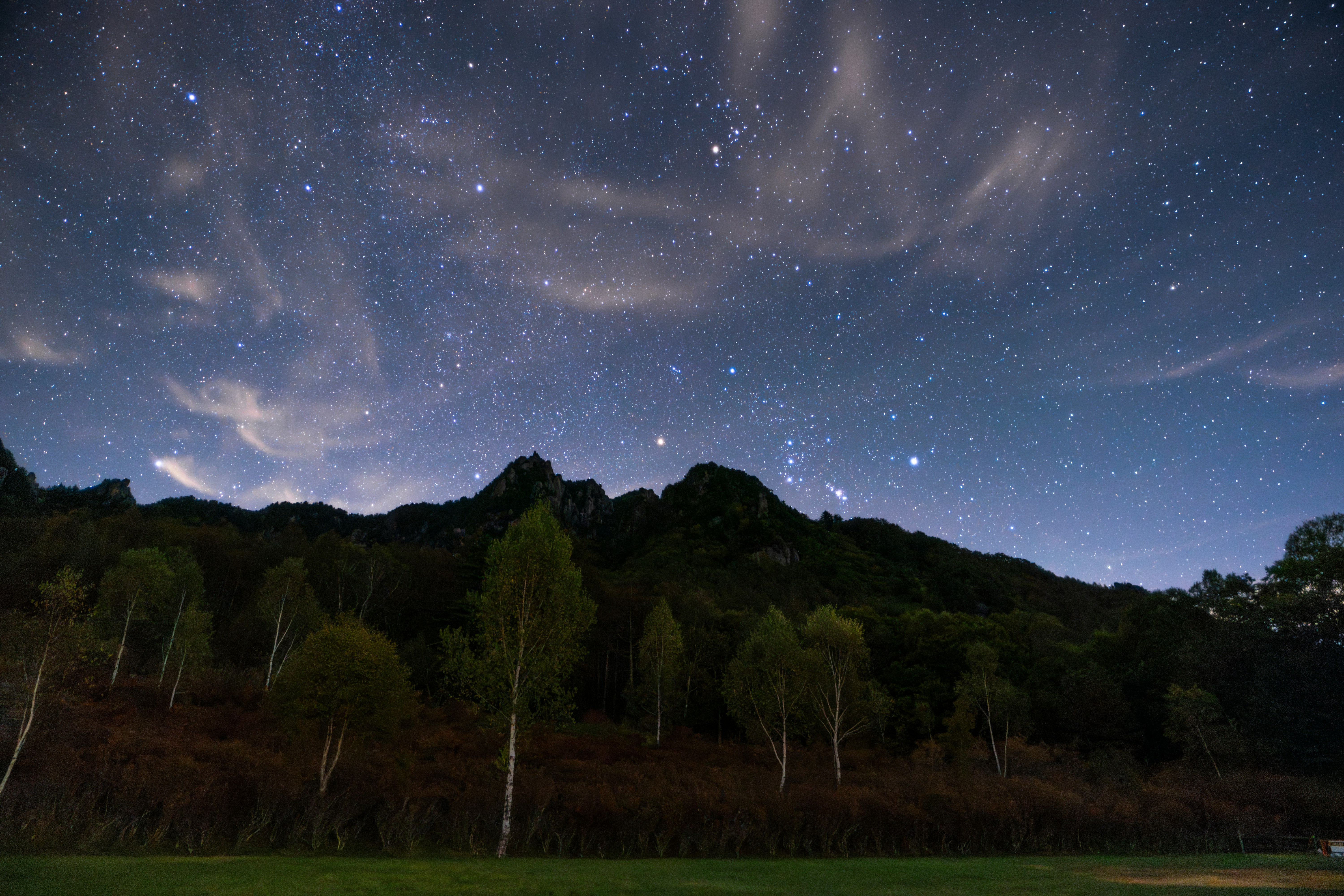 夜空に広がる星と天の川、森の稜線と草地の風景