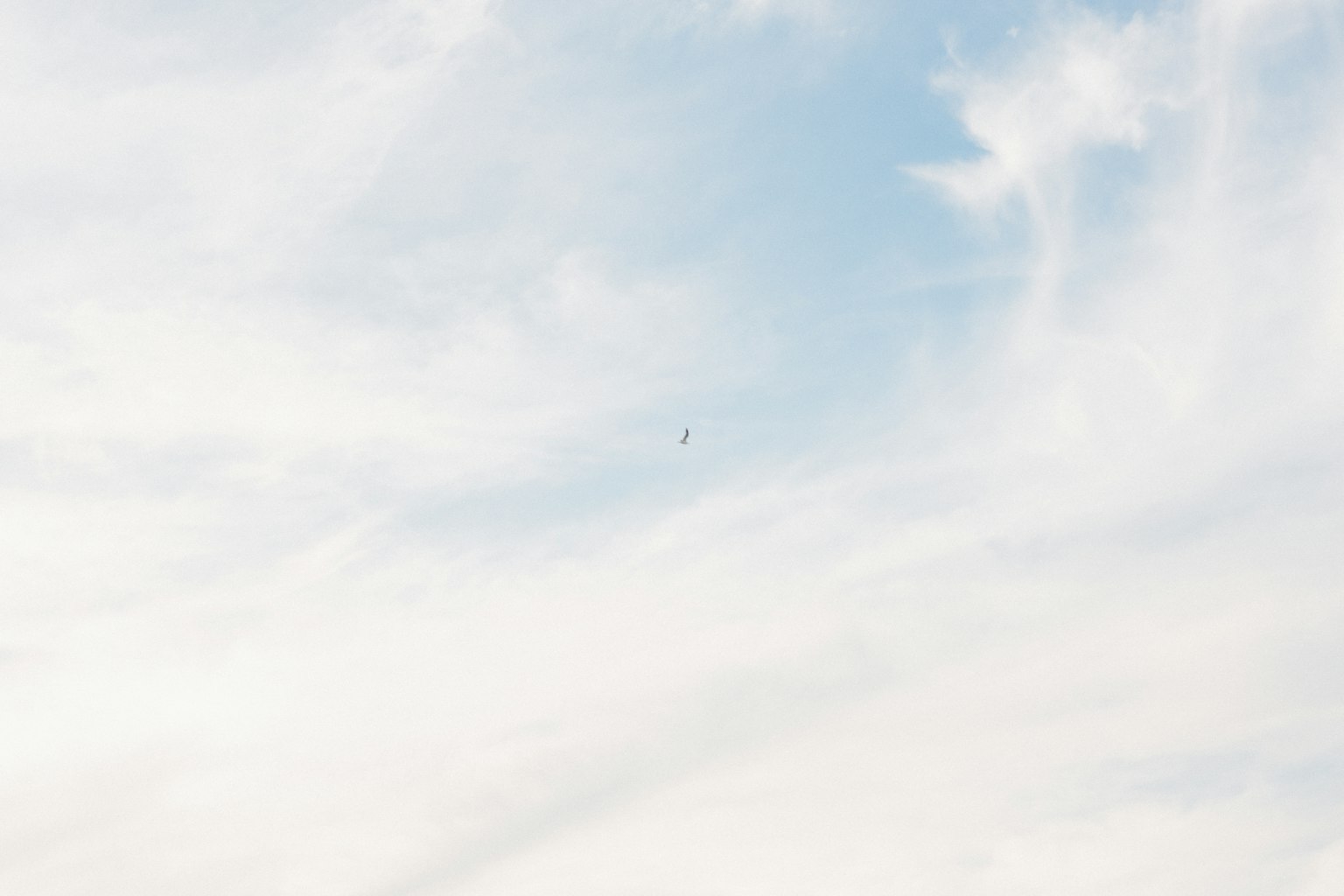 A landscape featuring blue sky and white clouds