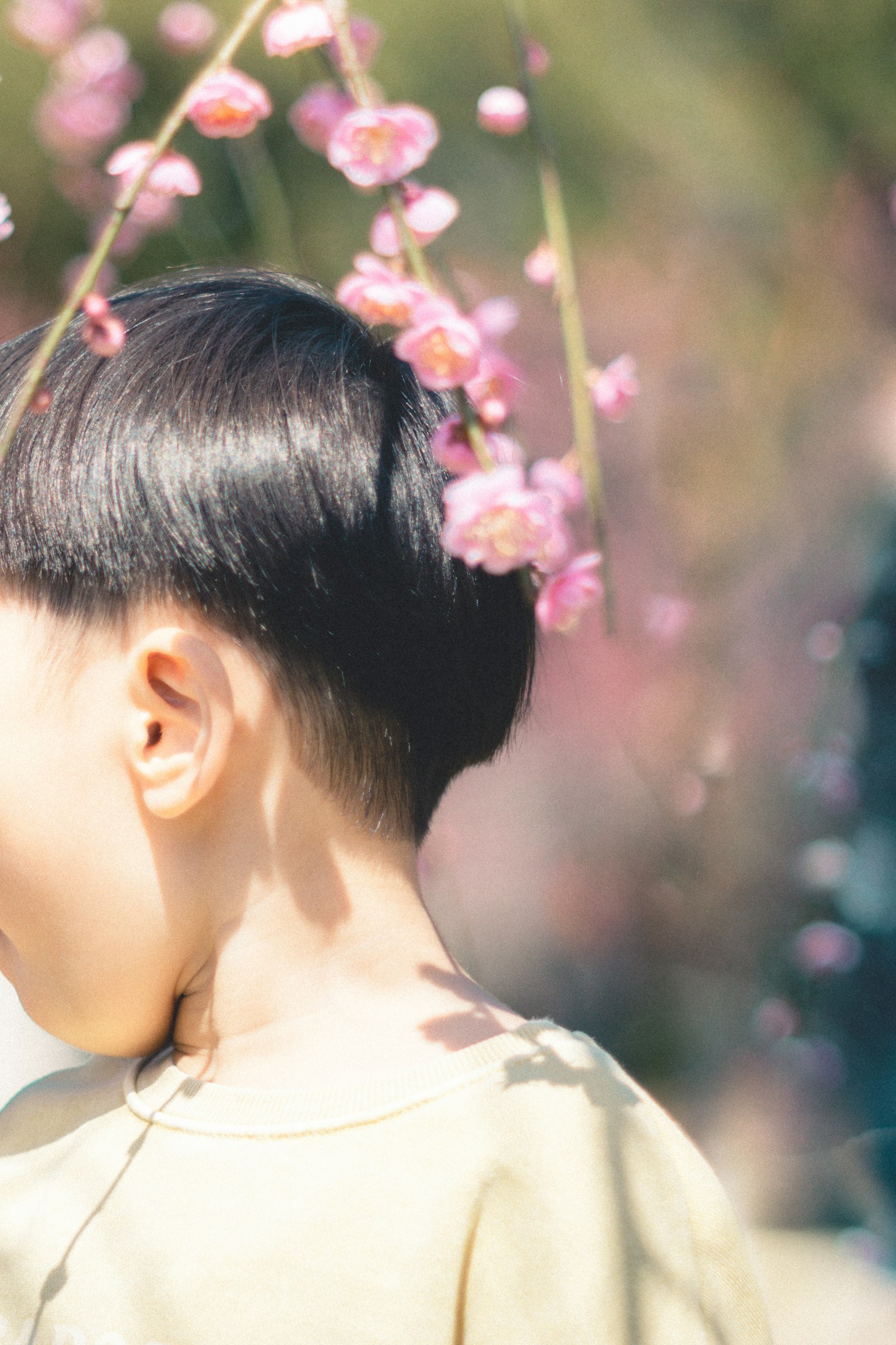 Anak dengan potongan rambut pendek dikelilingi bunga sakura dalam suasana musim semi