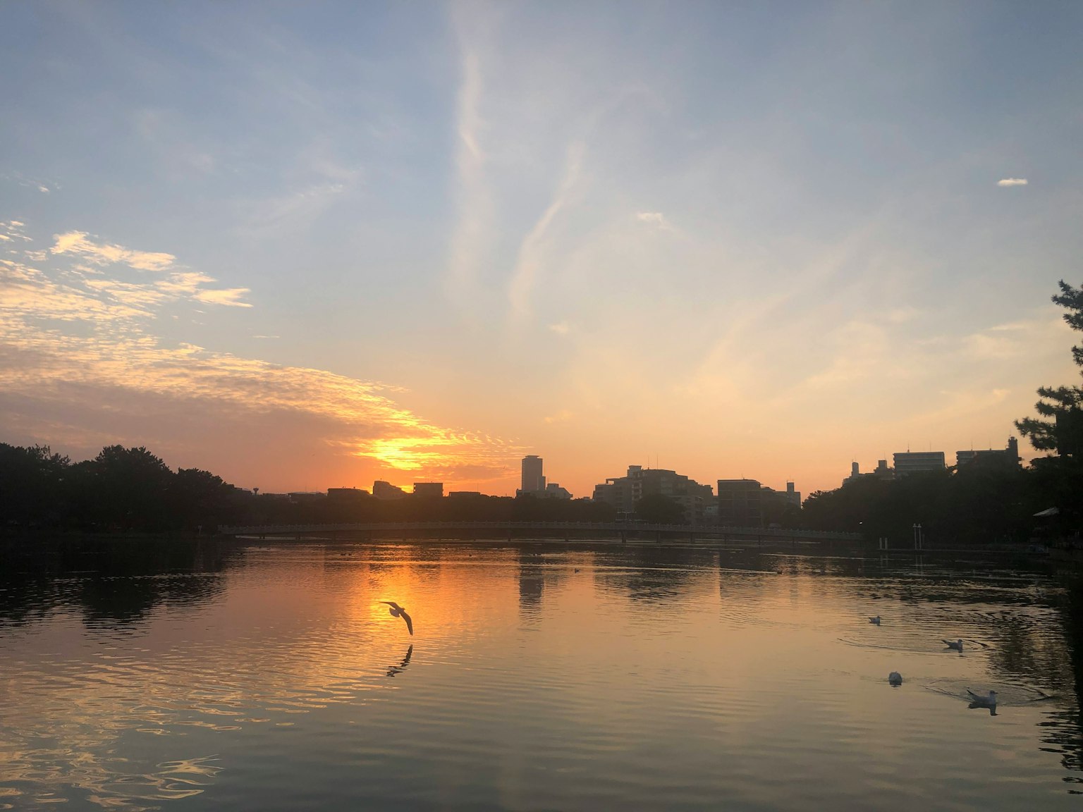 Danau yang memantulkan matahari terbenam dengan garis langit kota