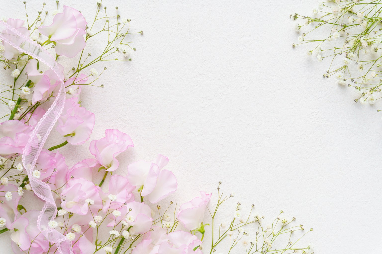 Fleurs roses et souffle de bébé disposés sur un fond blanc