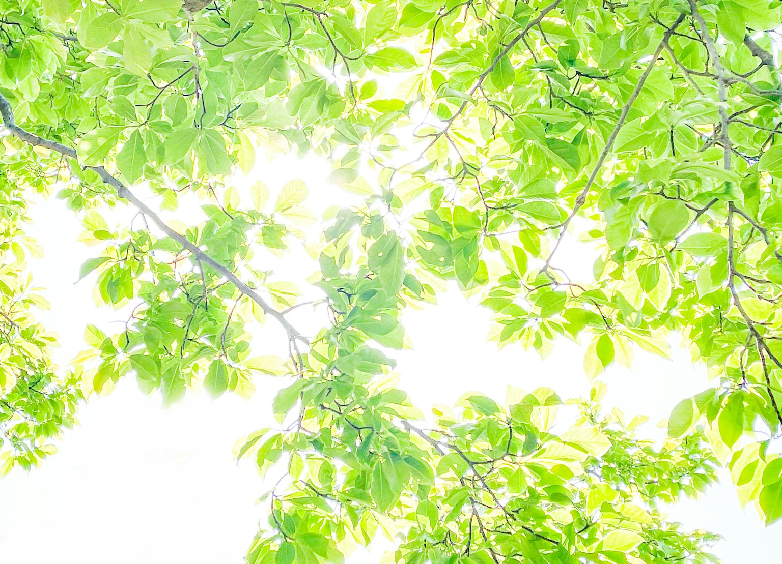 photo-bcPdcXVI2pUq5C1AHJmG-image