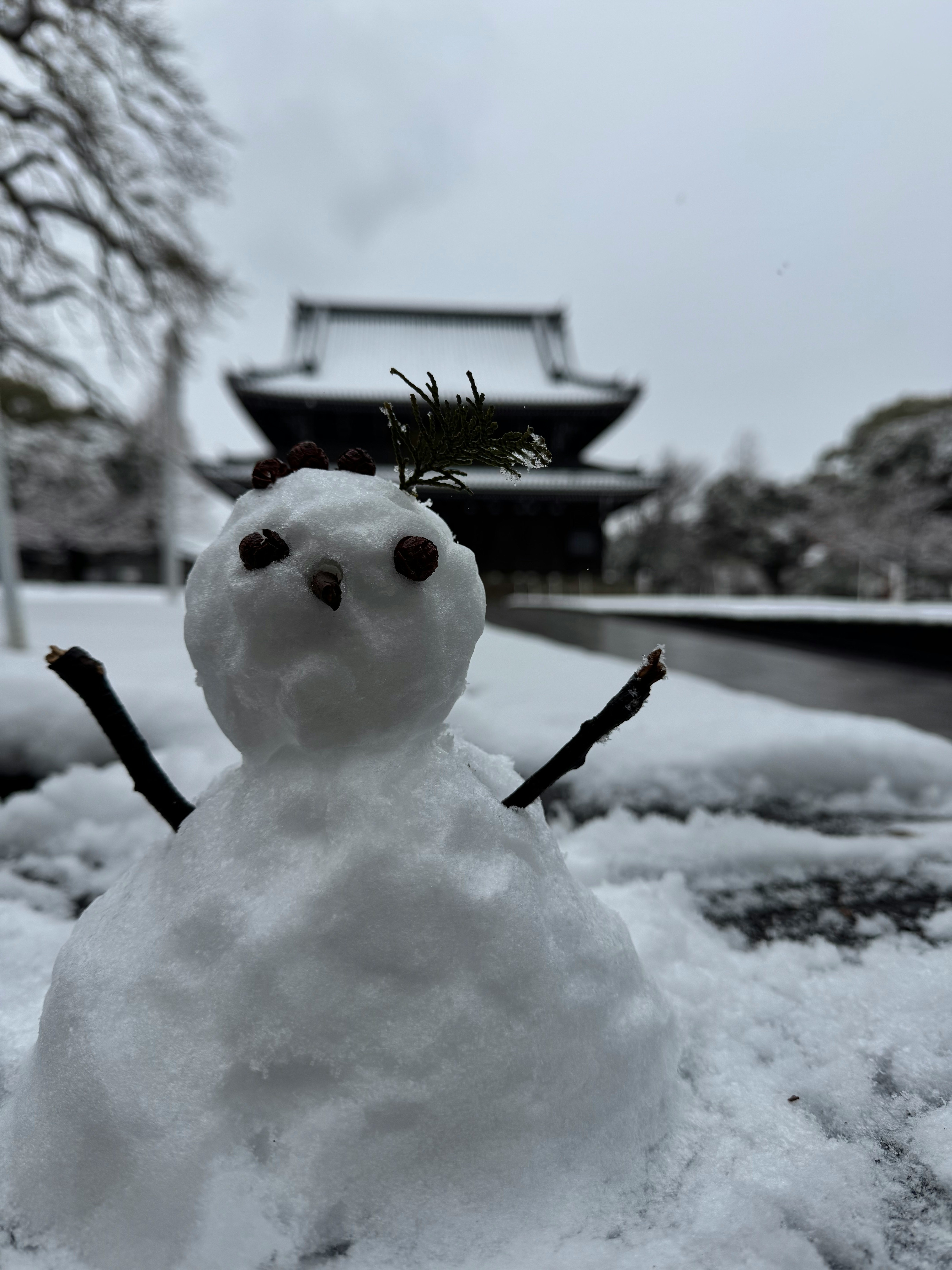 雪の積もった庭で立つ雪だるま