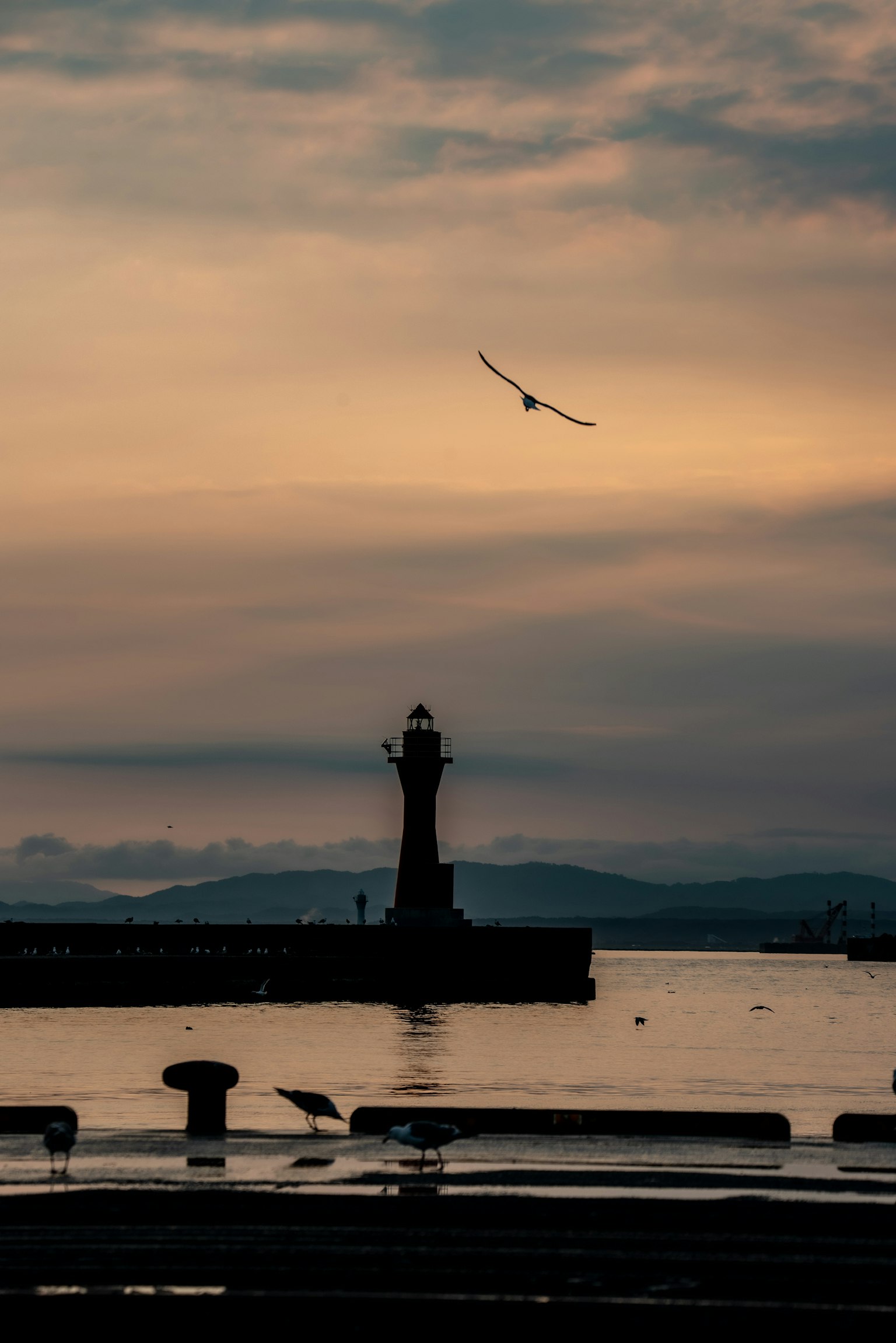 Silhouette eines Leuchtturms vor einem Sonnenuntergangshimmel mit einem fliegenden Vogel