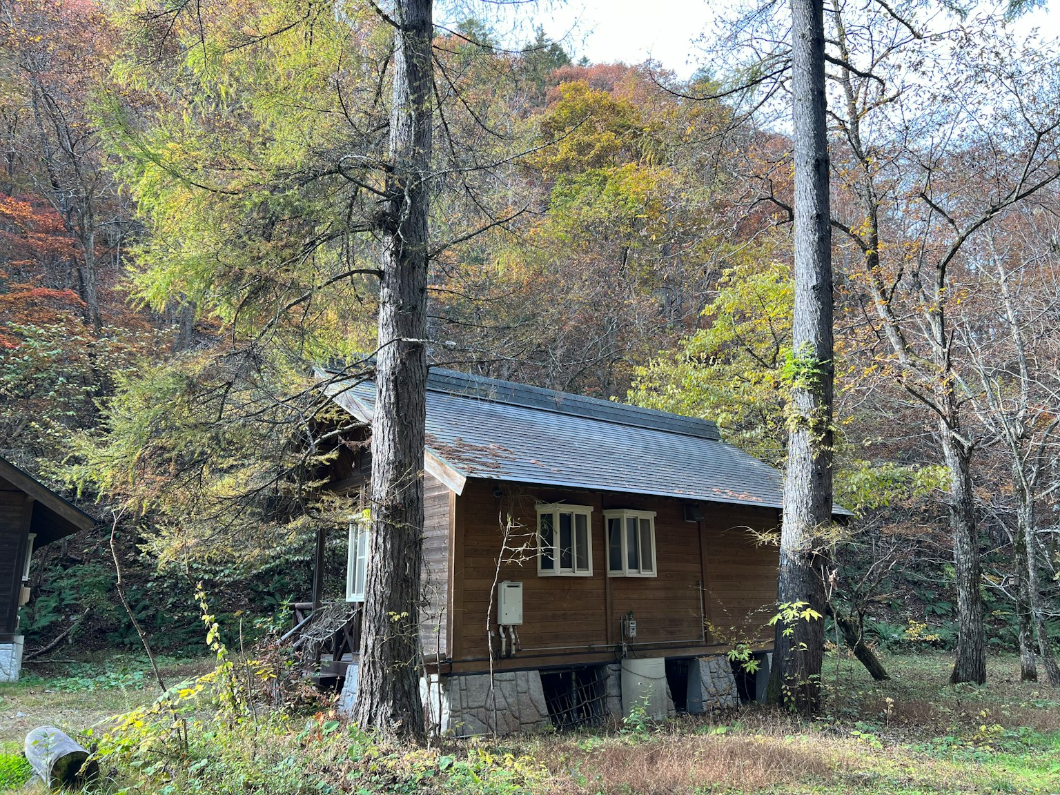 Holzhütte umgeben von herbstlichem Laub