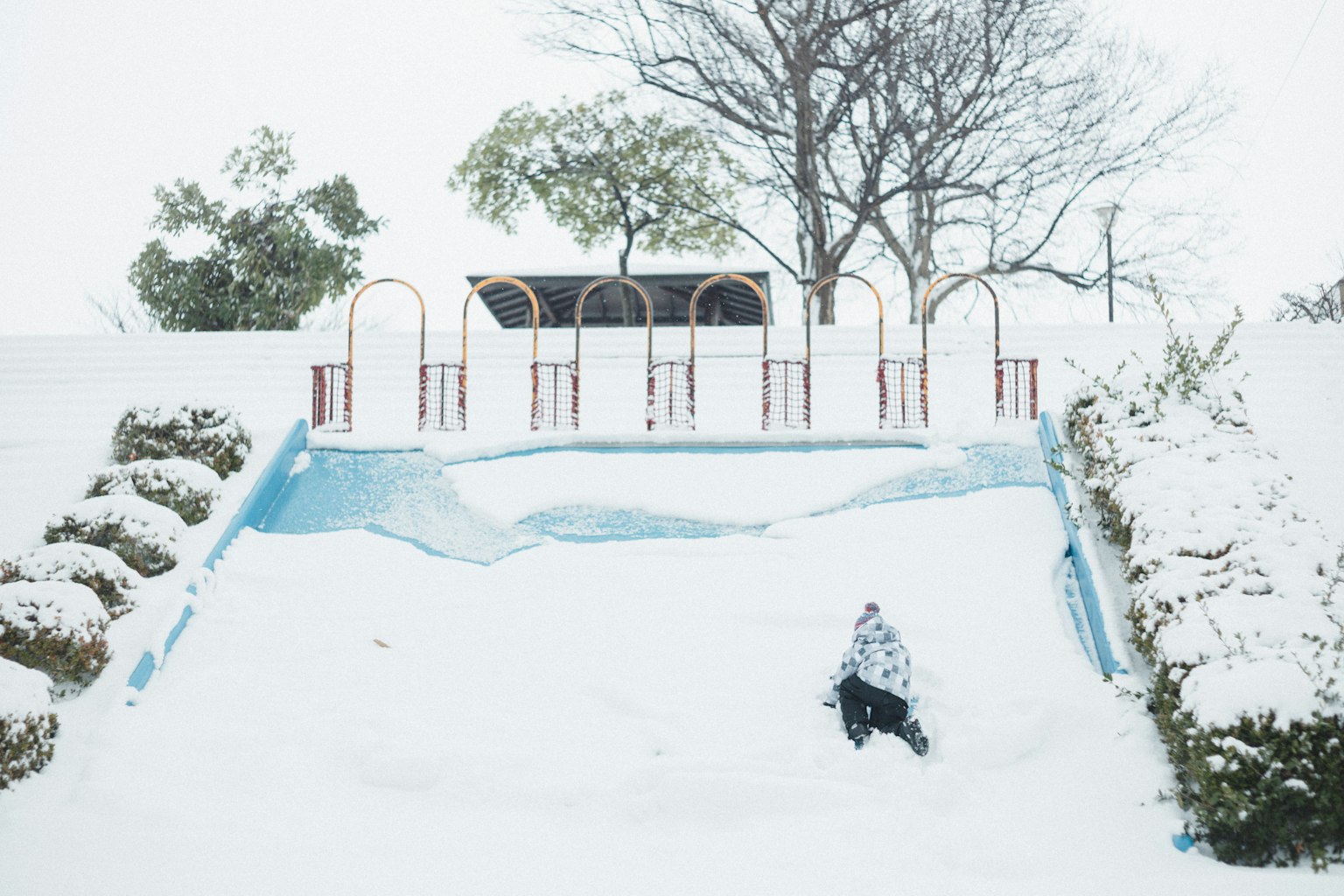 被雪覆盖的游乐场和背景中的树木