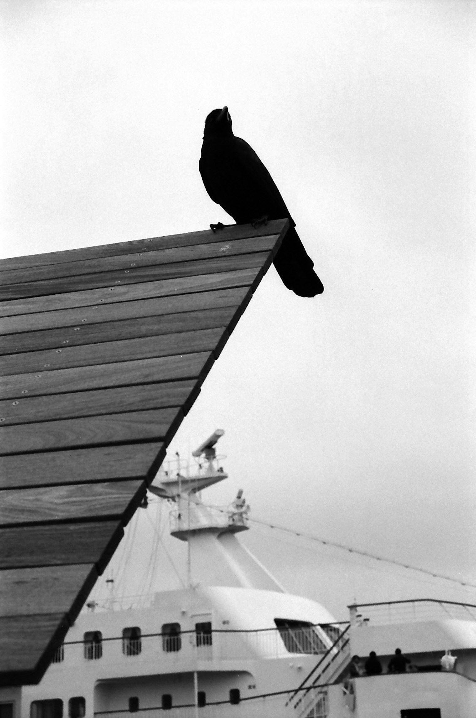 A black bird perched on the edge of a roof in a monochrome image with a ship in the background