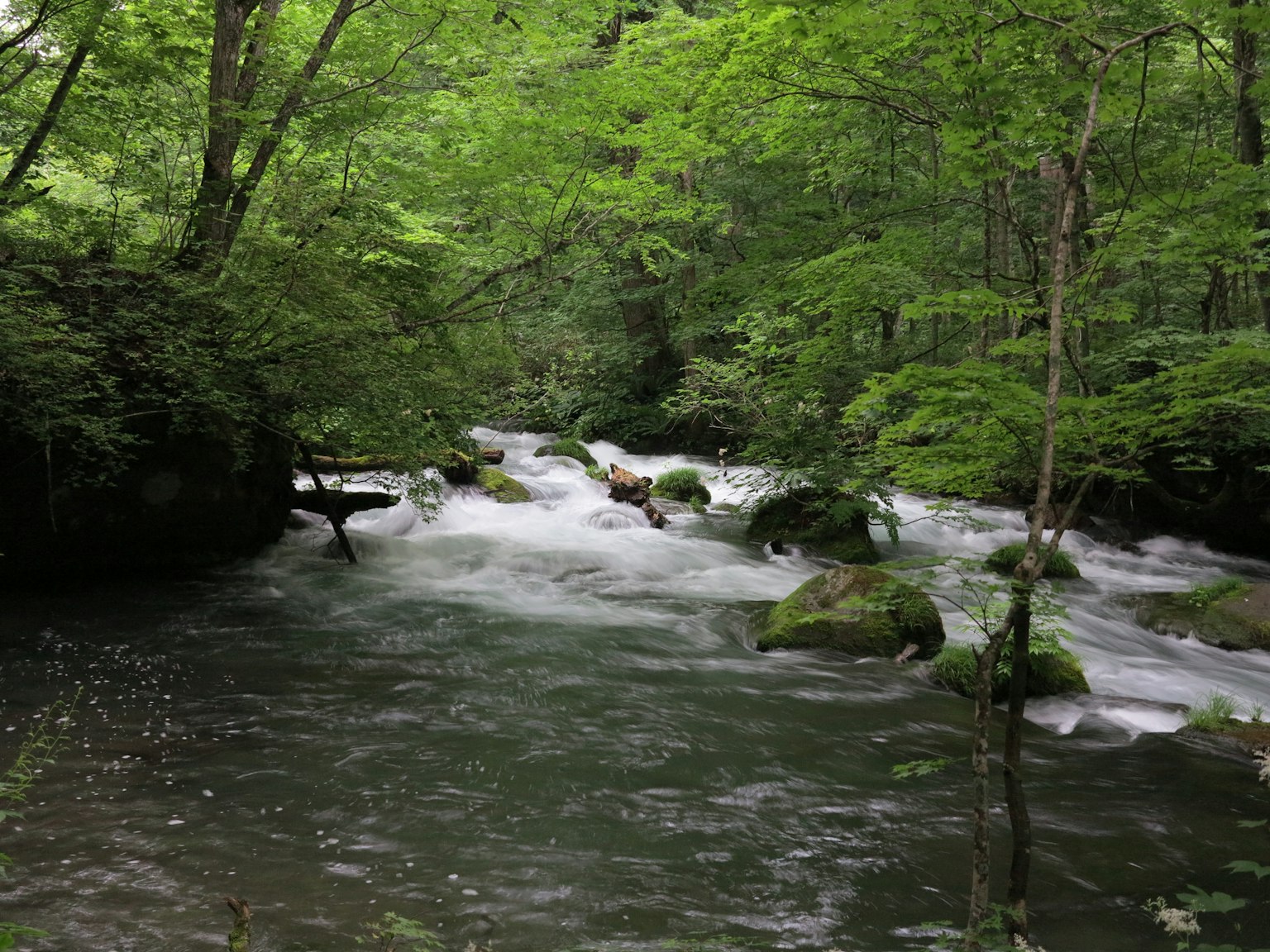 Un paysage magnifique avec une rivière qui coule entourée de verdure